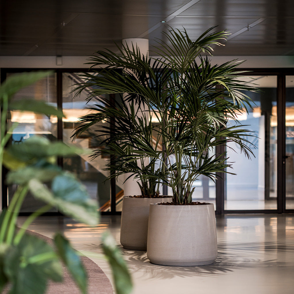 Plantenbak Jumbo Patt XS - Beton Beige - D73 H61