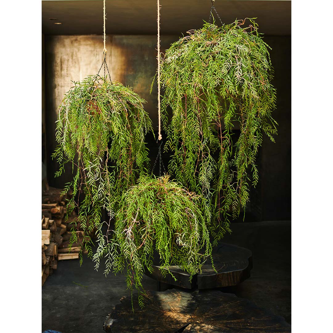 Hangplant groen 120 cm
