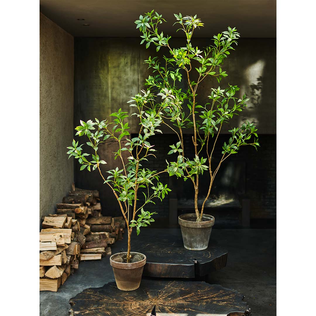 Plant groen | 150 cm
