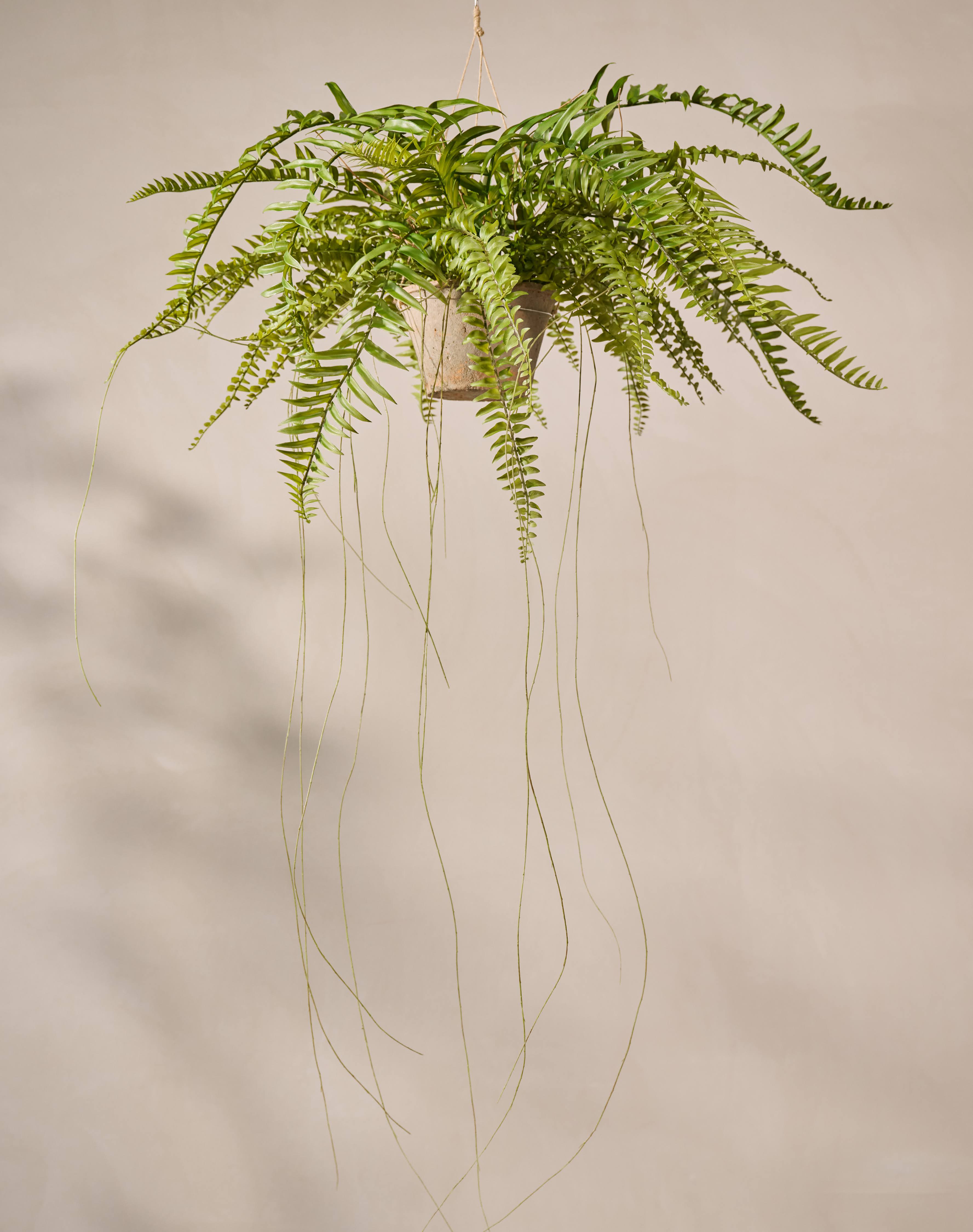 Hangplant Varen Groen | 76 cm