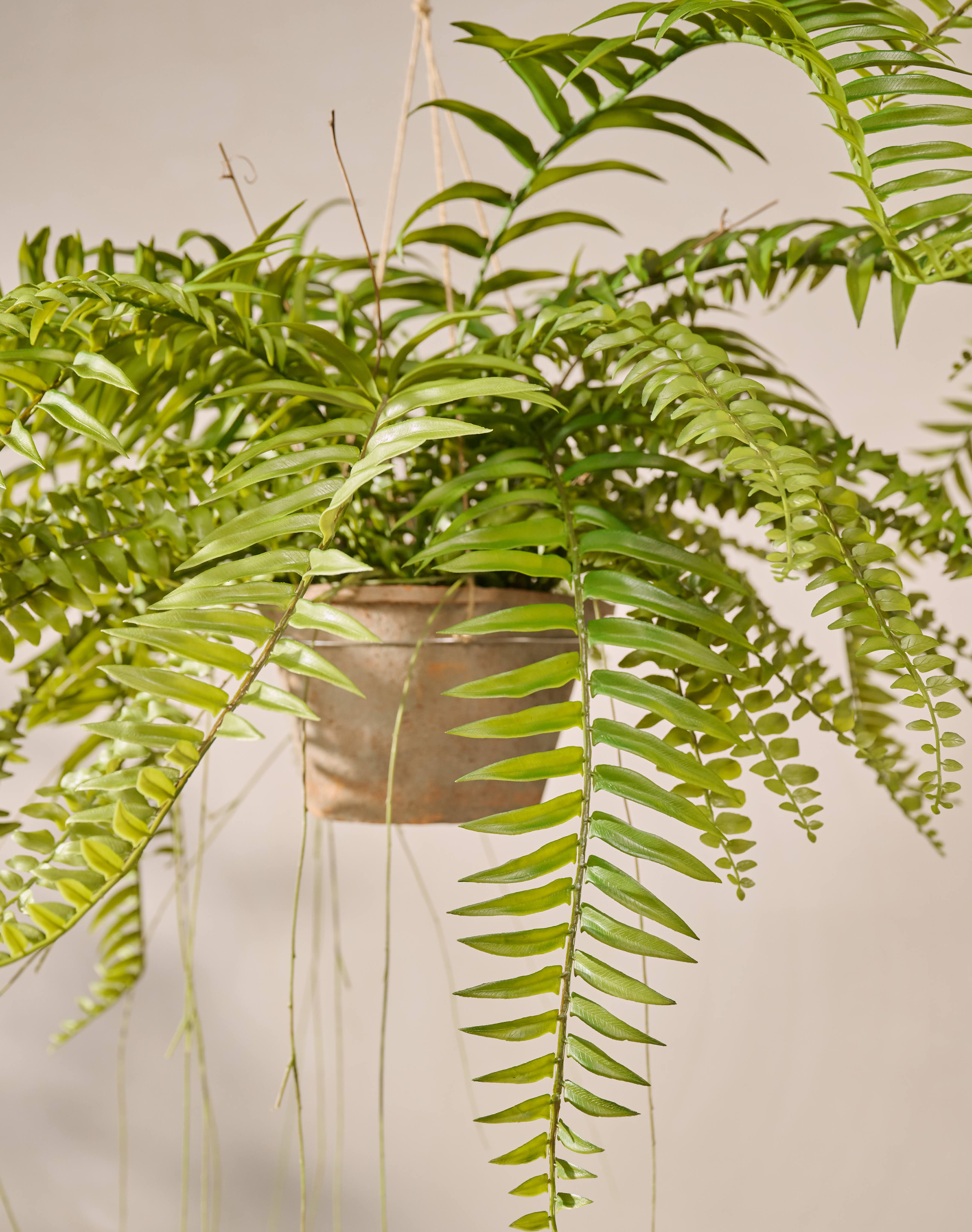 Hangplant Varen Groen | 76 cm