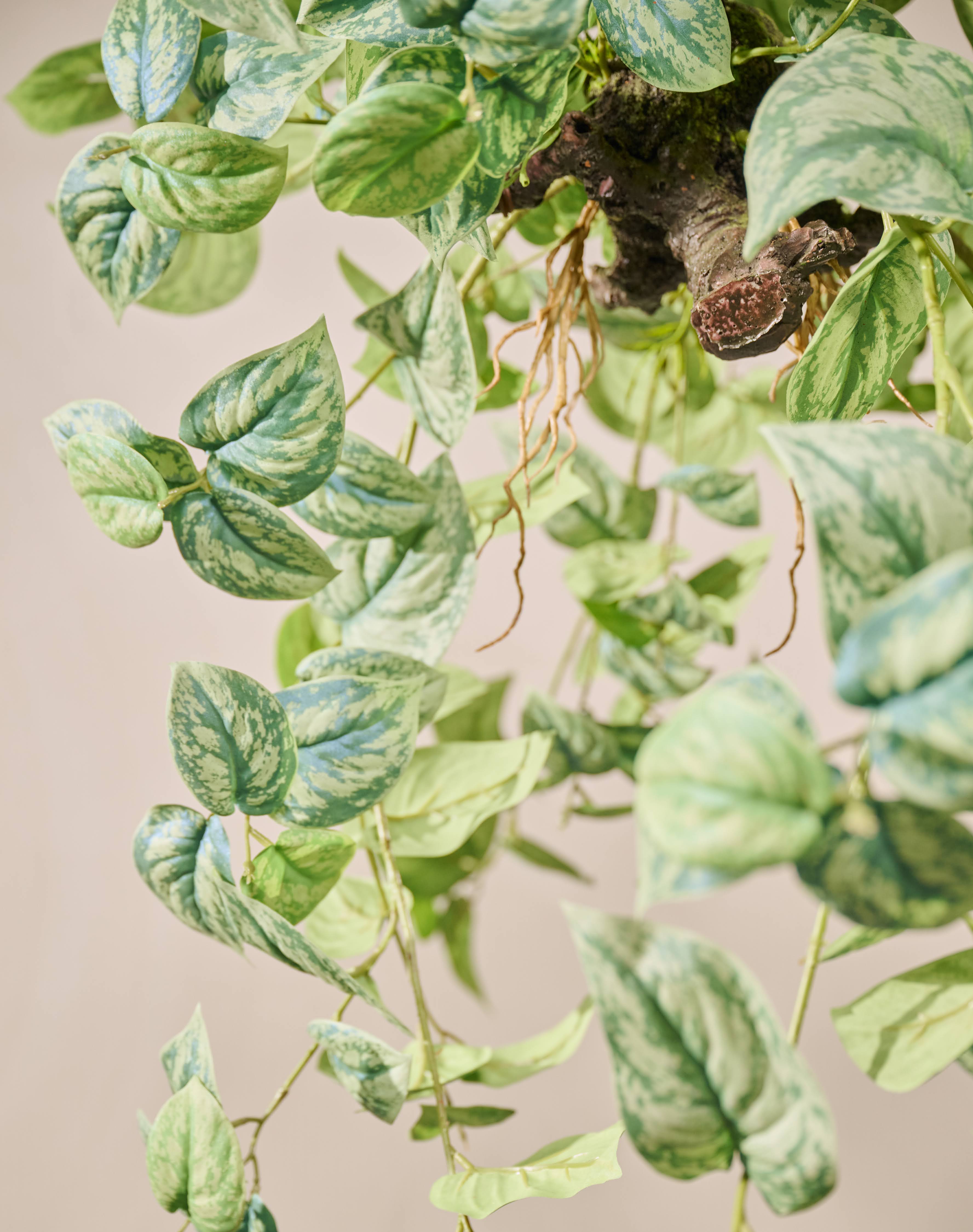 Hangplant klimop | 91 cm