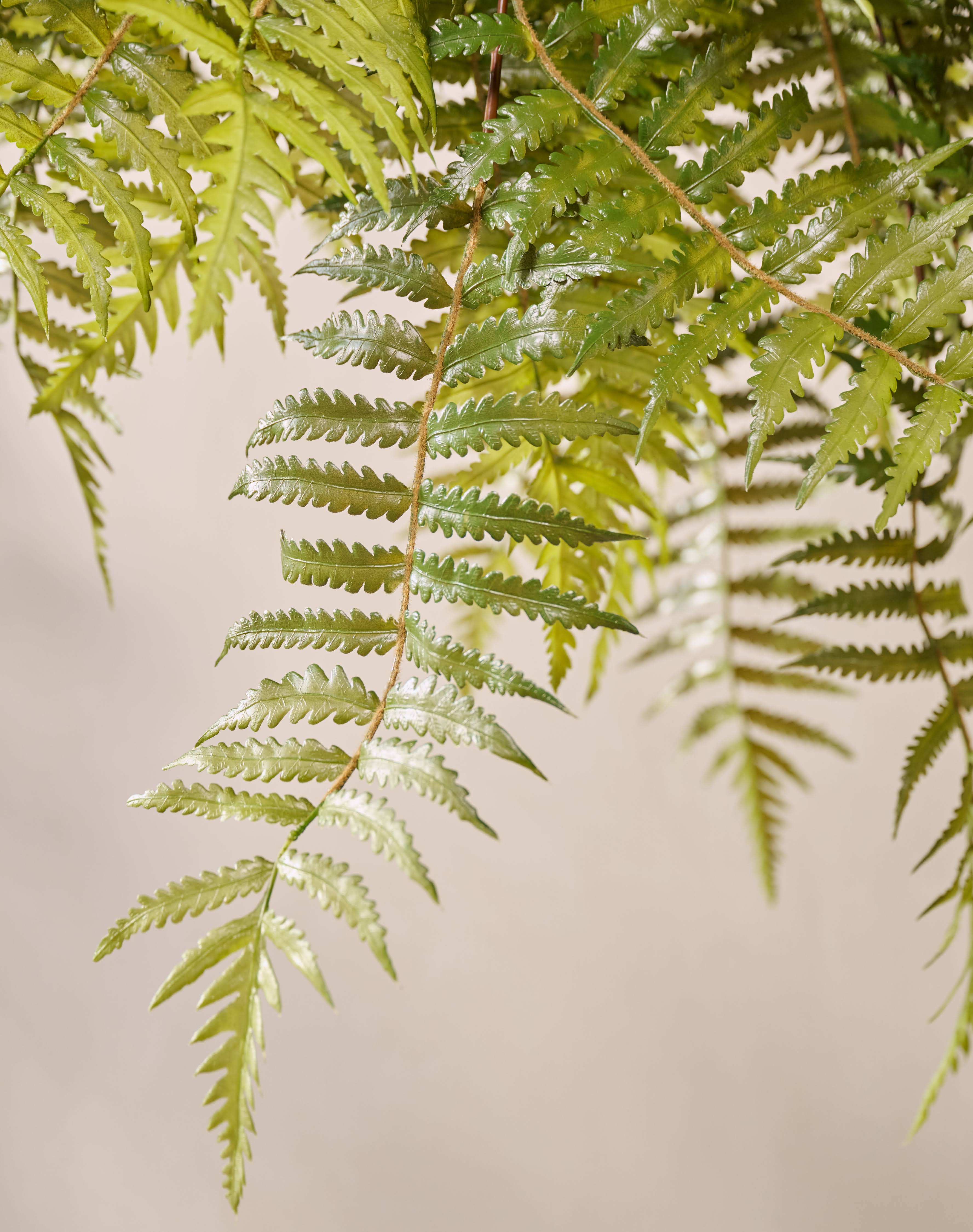 Hangplant Varen Groen | 122 cm