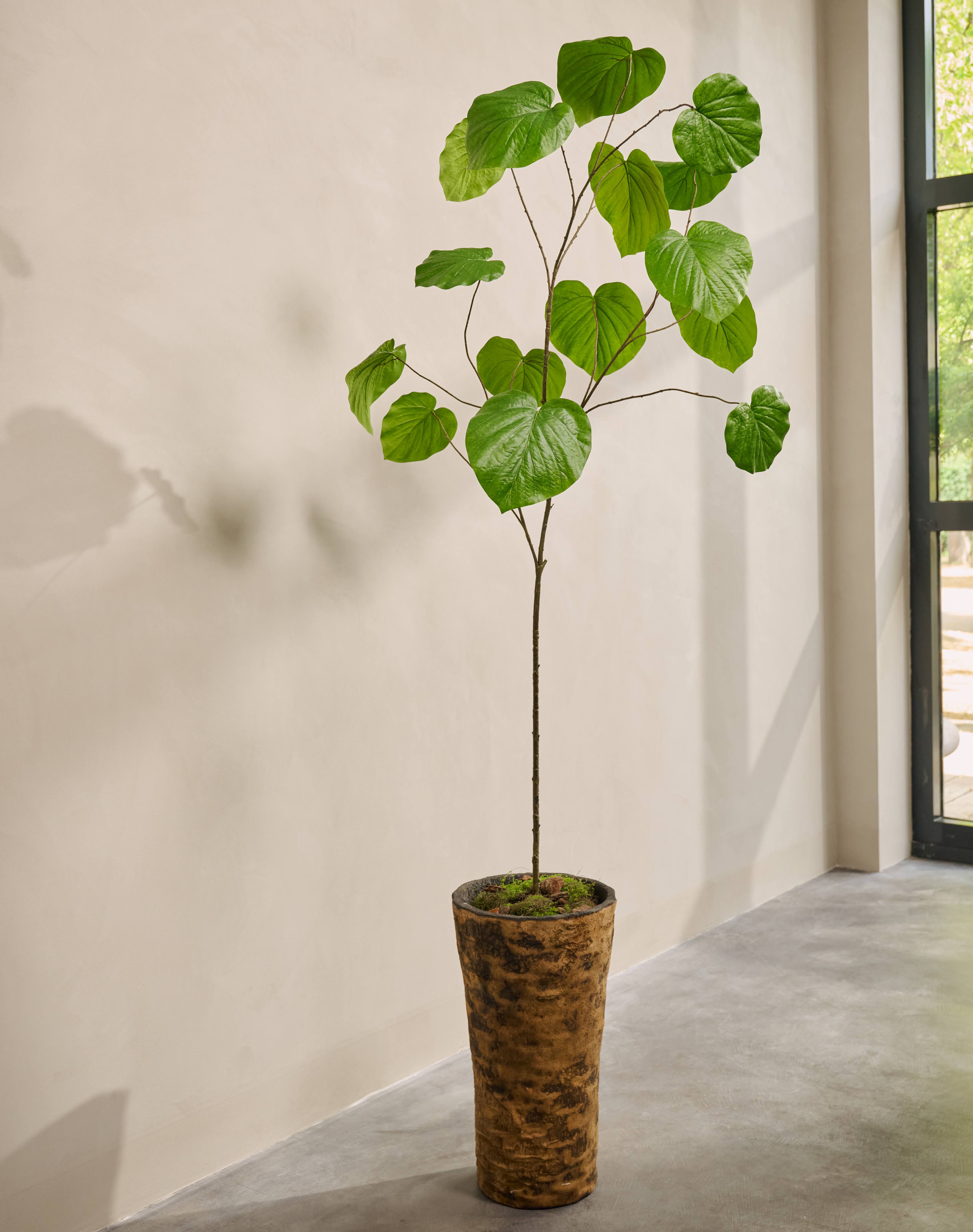 Kunstplant Ficus | 212 cm