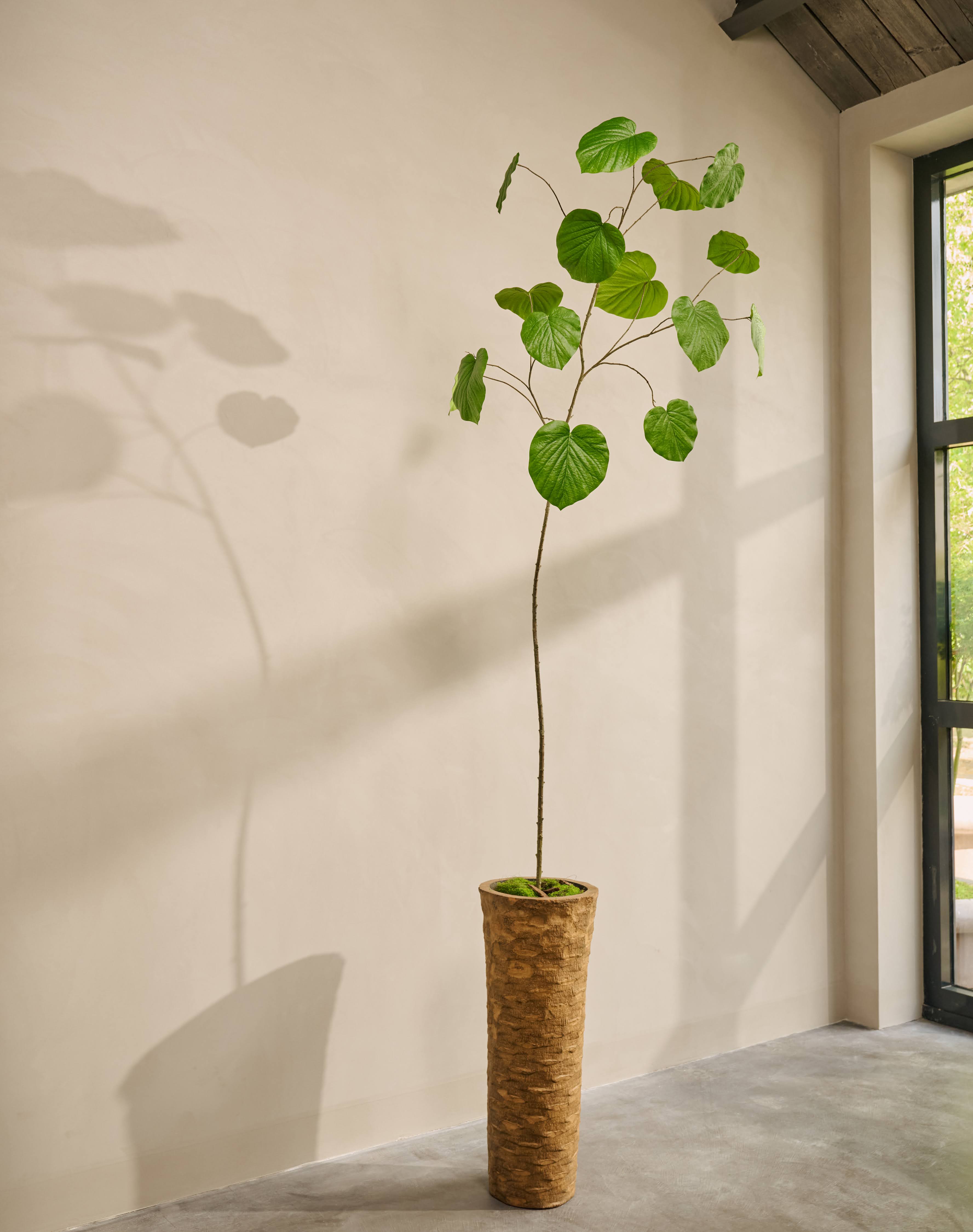 Kunstplant Ficus | 290 cm