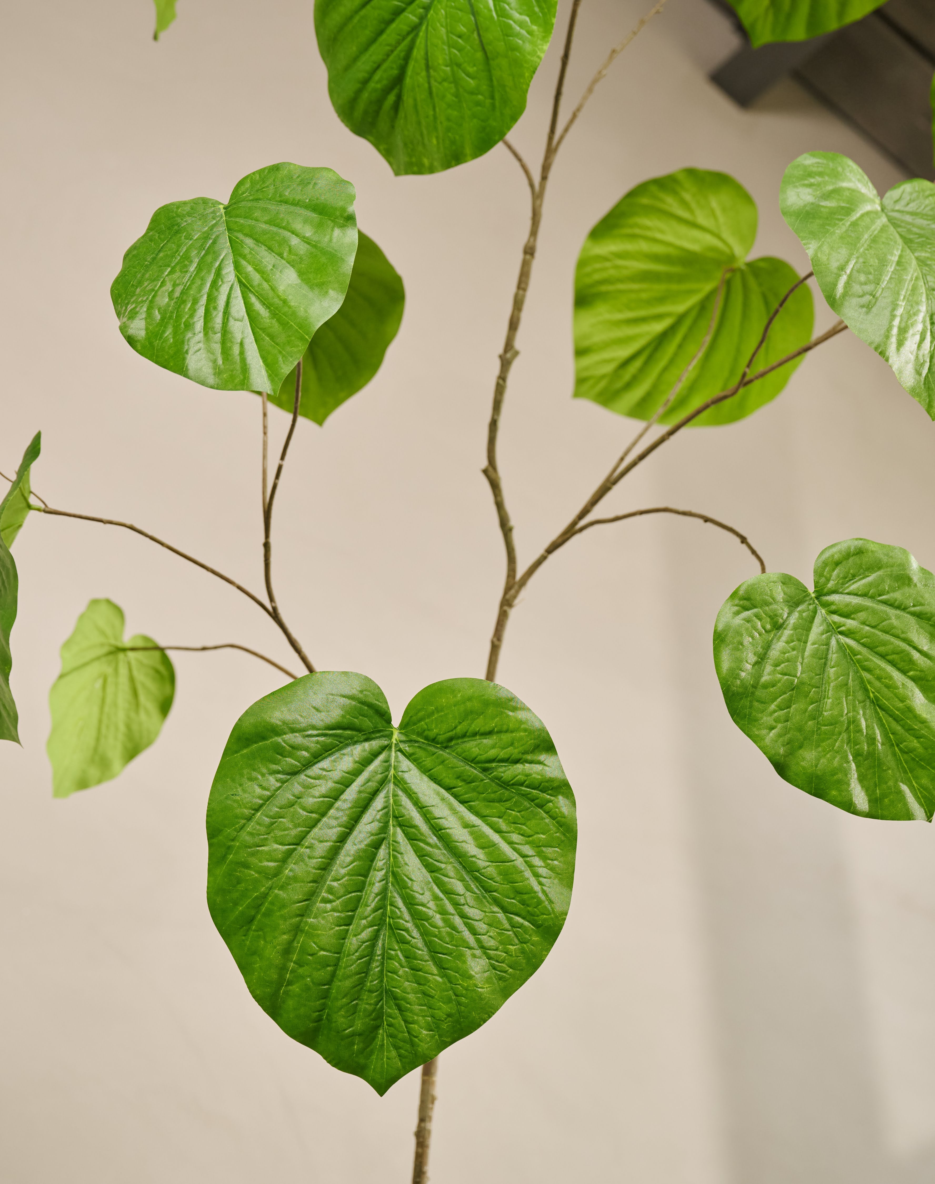 Kunstplant Ficus | 212 cm