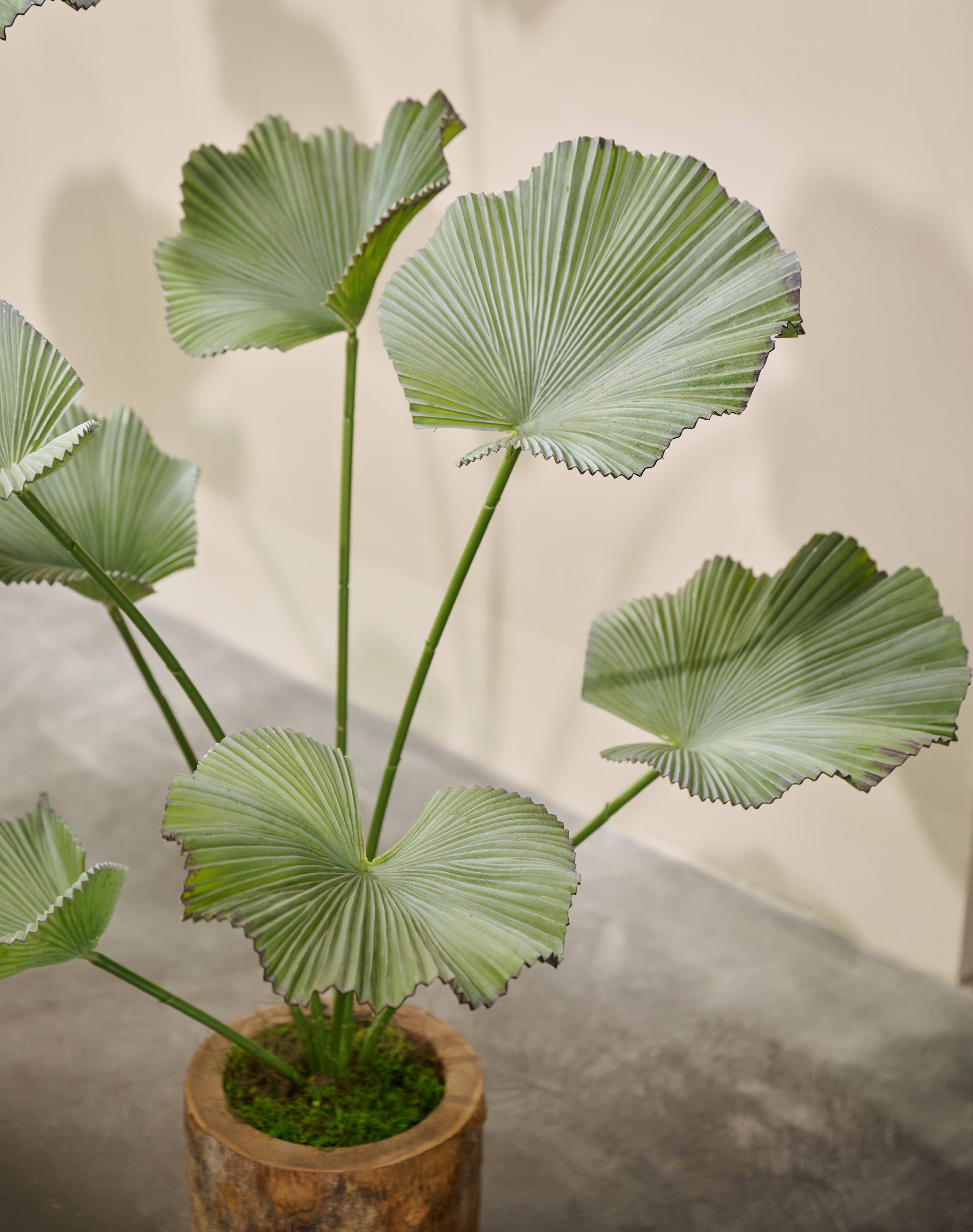 Kunstplan Palm | 120 cm