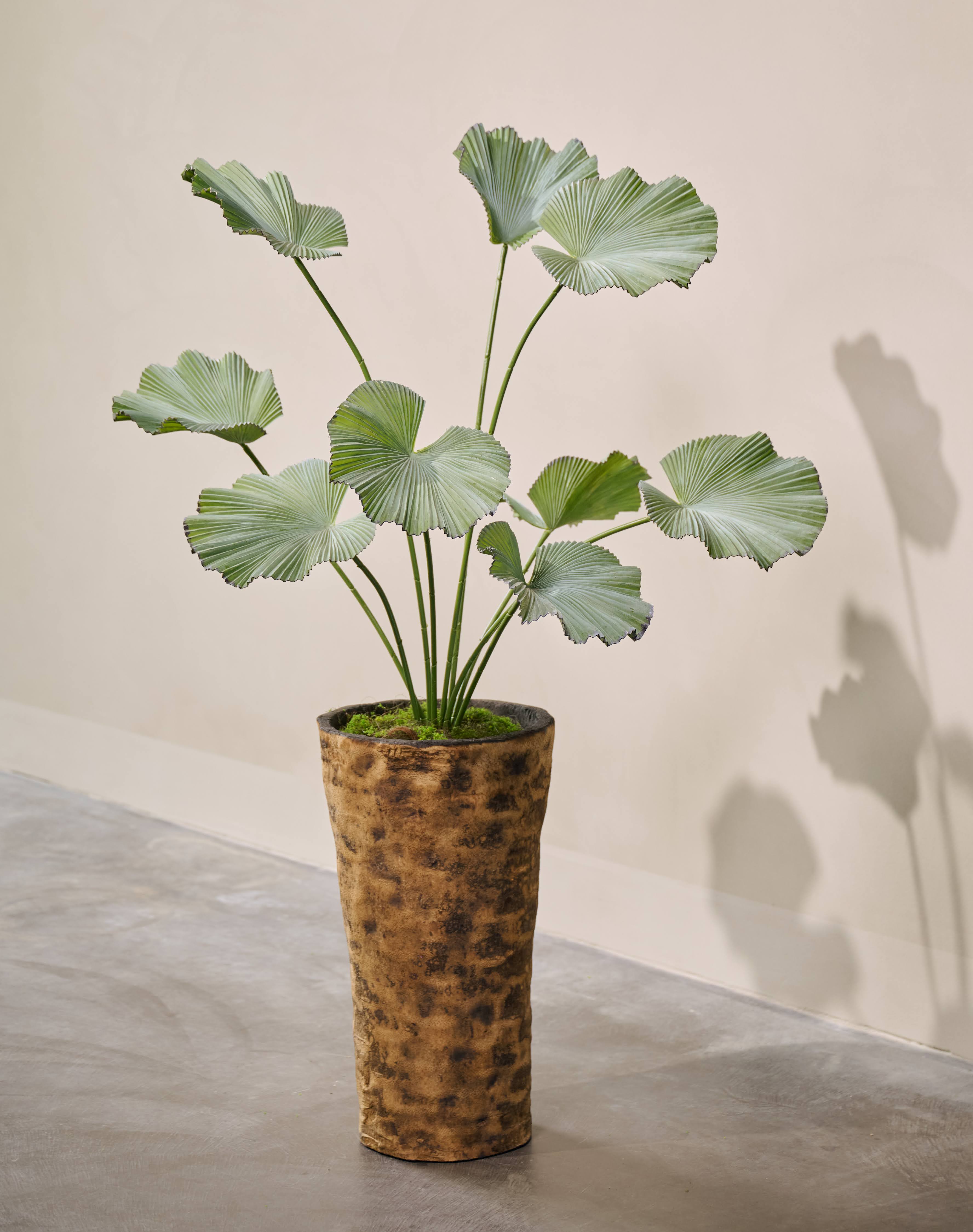 Kunstplan Palm | 120 cm