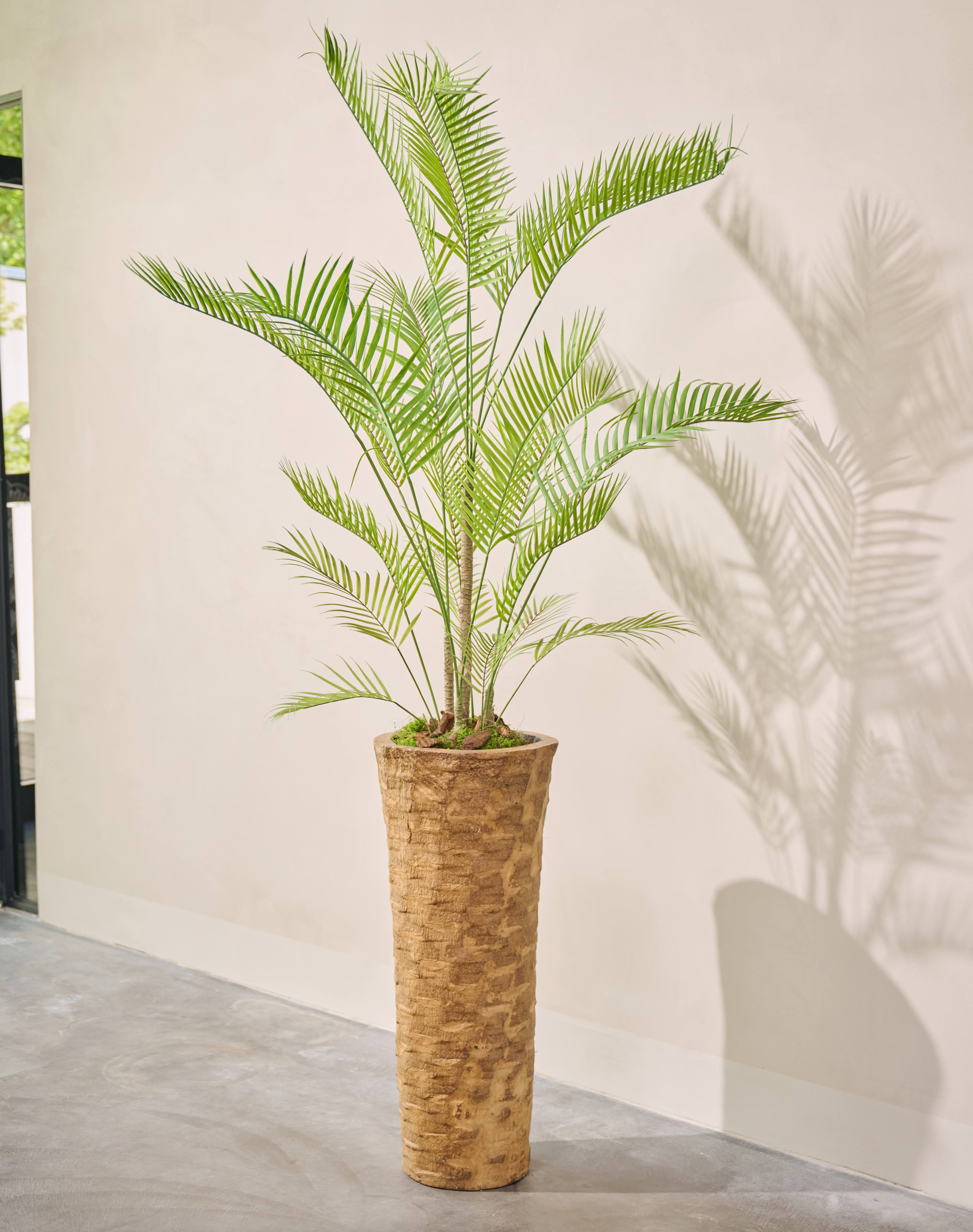 Plant Palm Groen | 150 cm
