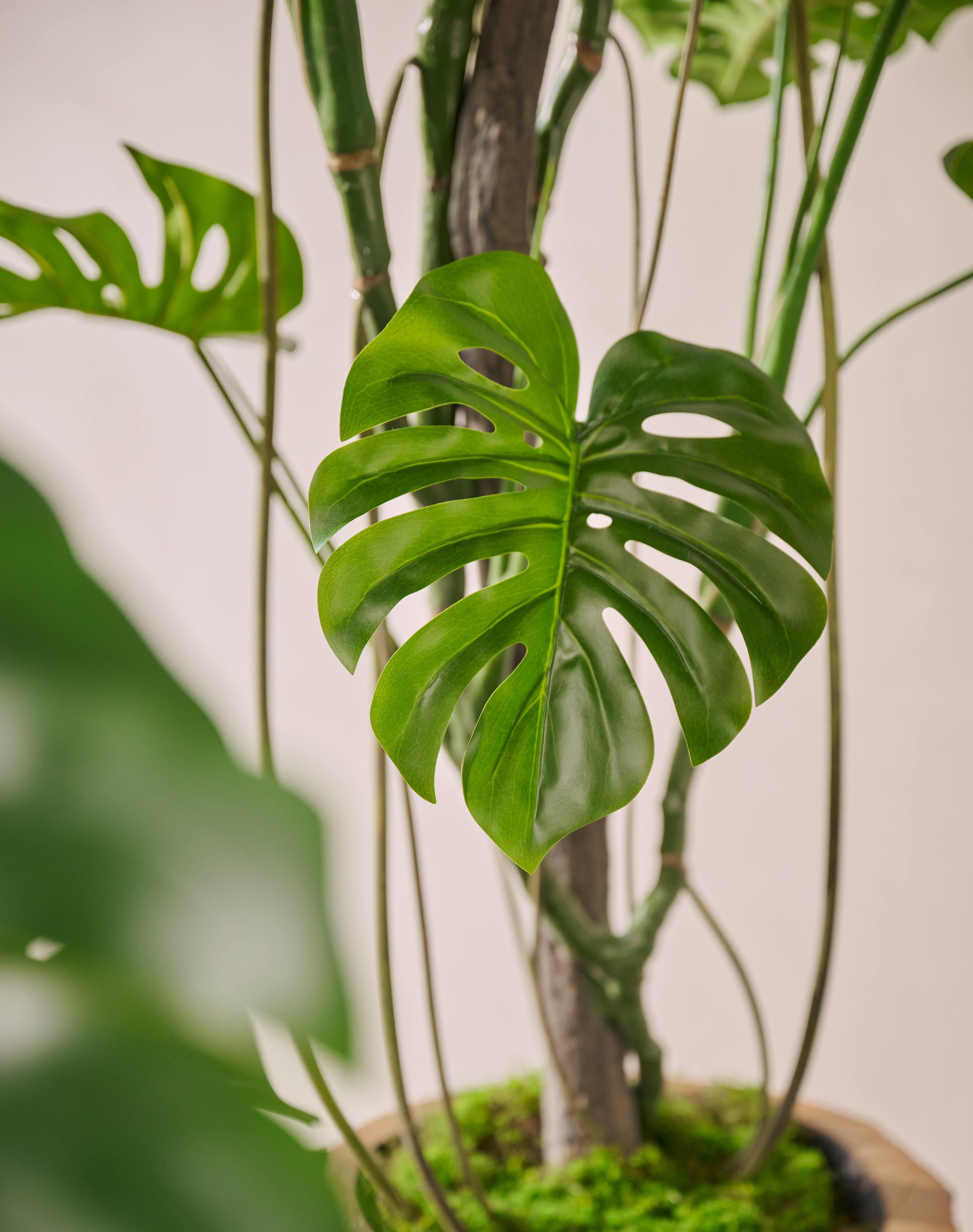 Kunstplant Monstera | 120 cm