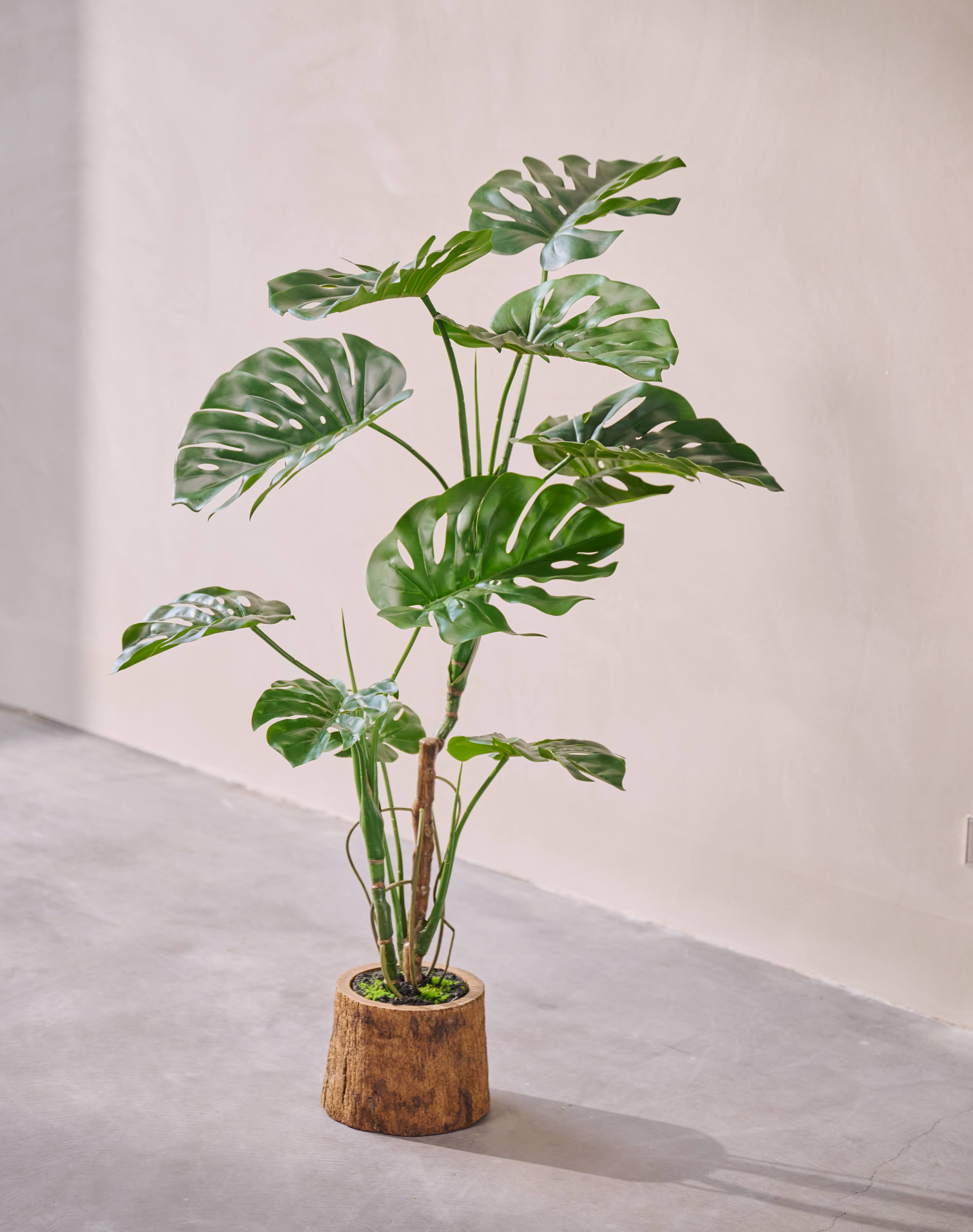 Kunstplant Monstera | 120 cm