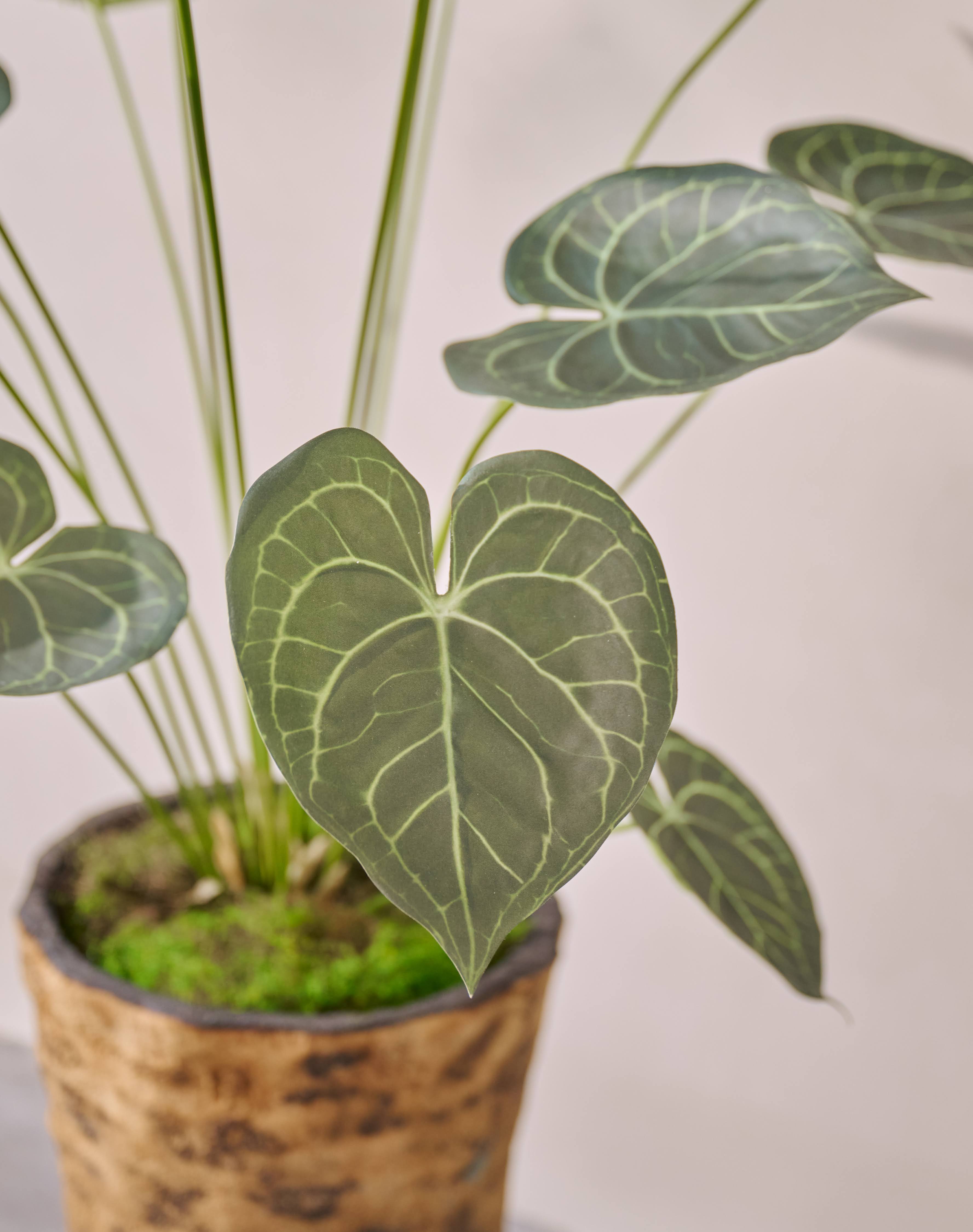 Kunstplant Anthurium | 125 cm