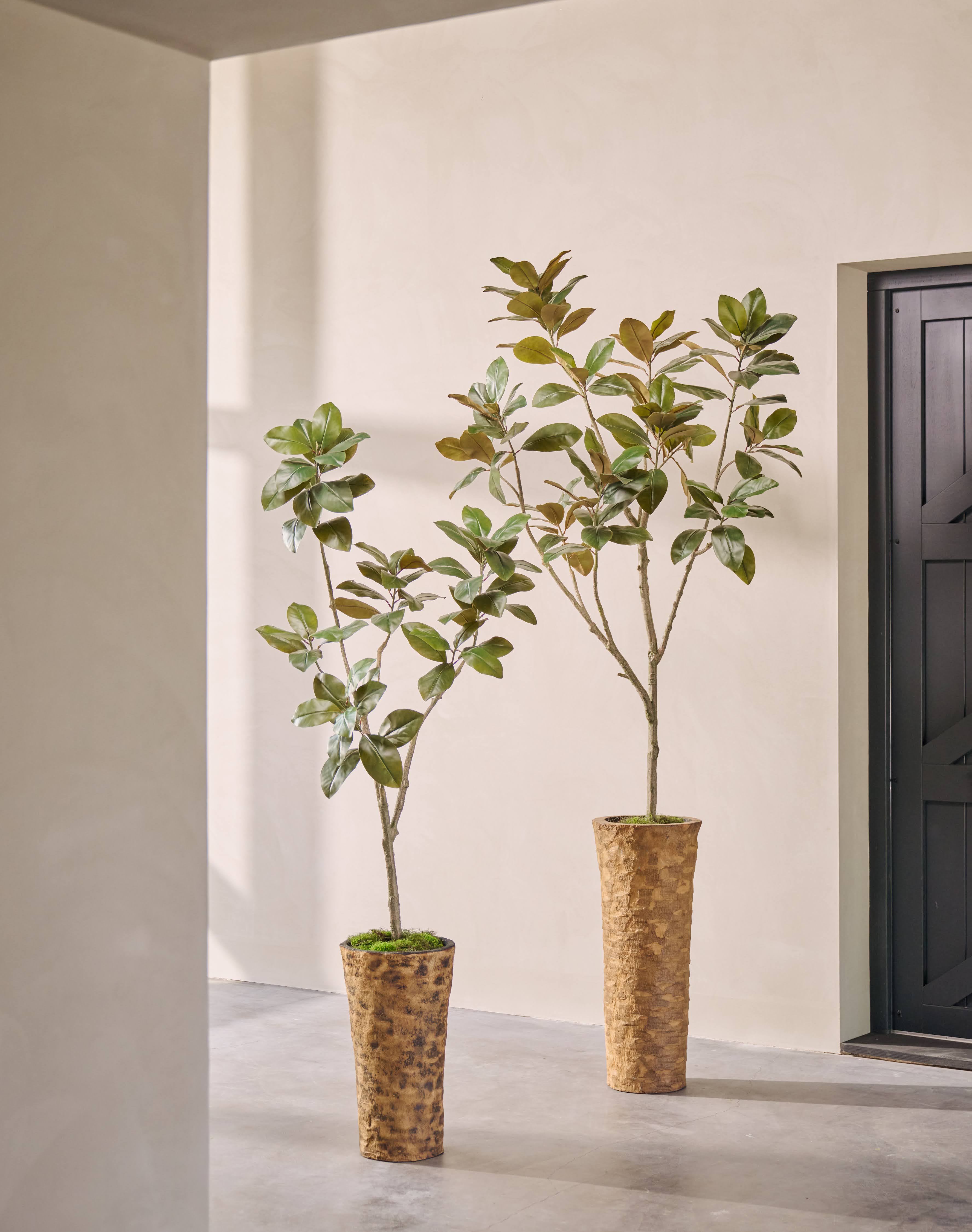 Kunstplant Ficus | 200 cm