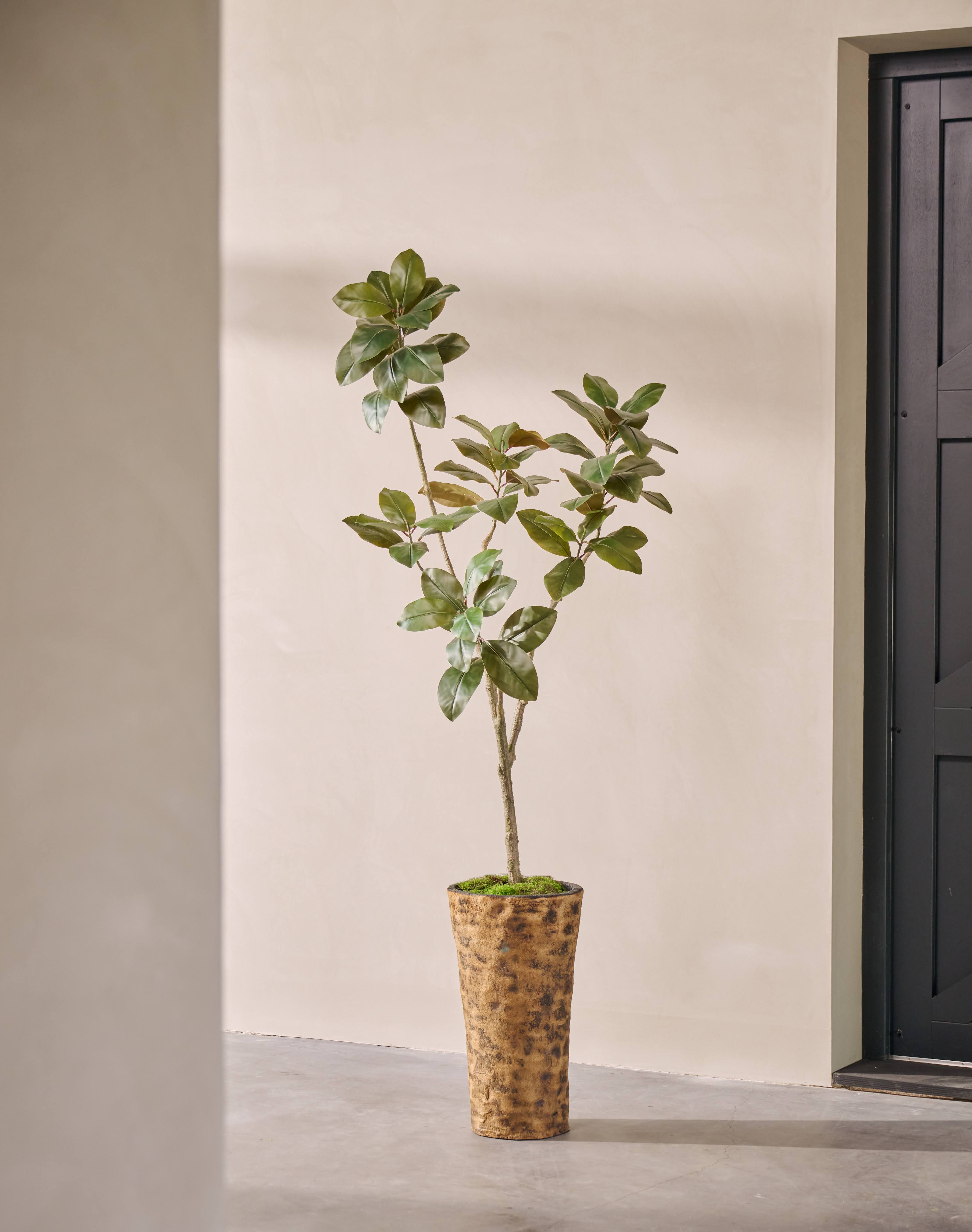Kunstplant Ficus | 200 cm
