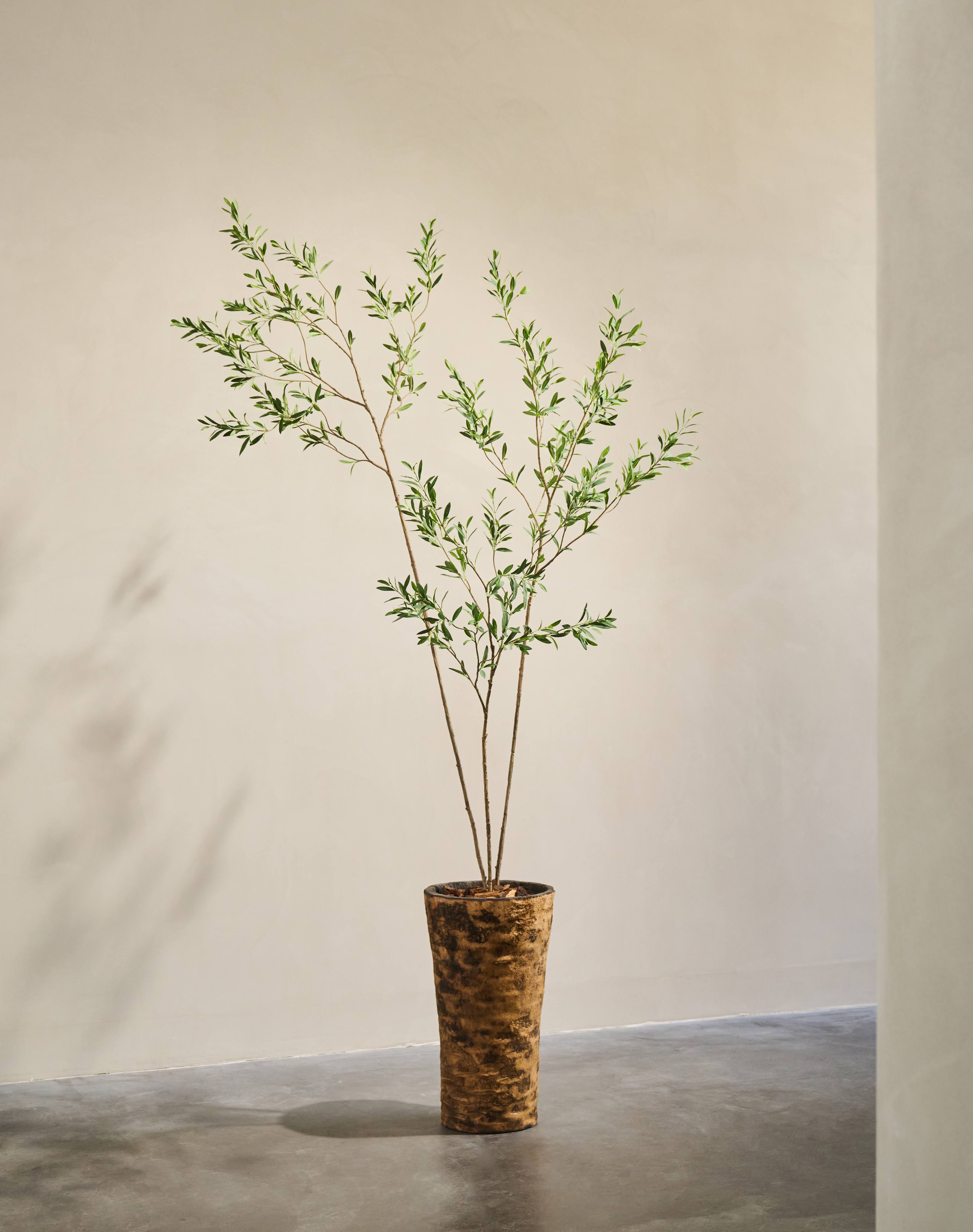 Kunst Olijfboom | 227 cm