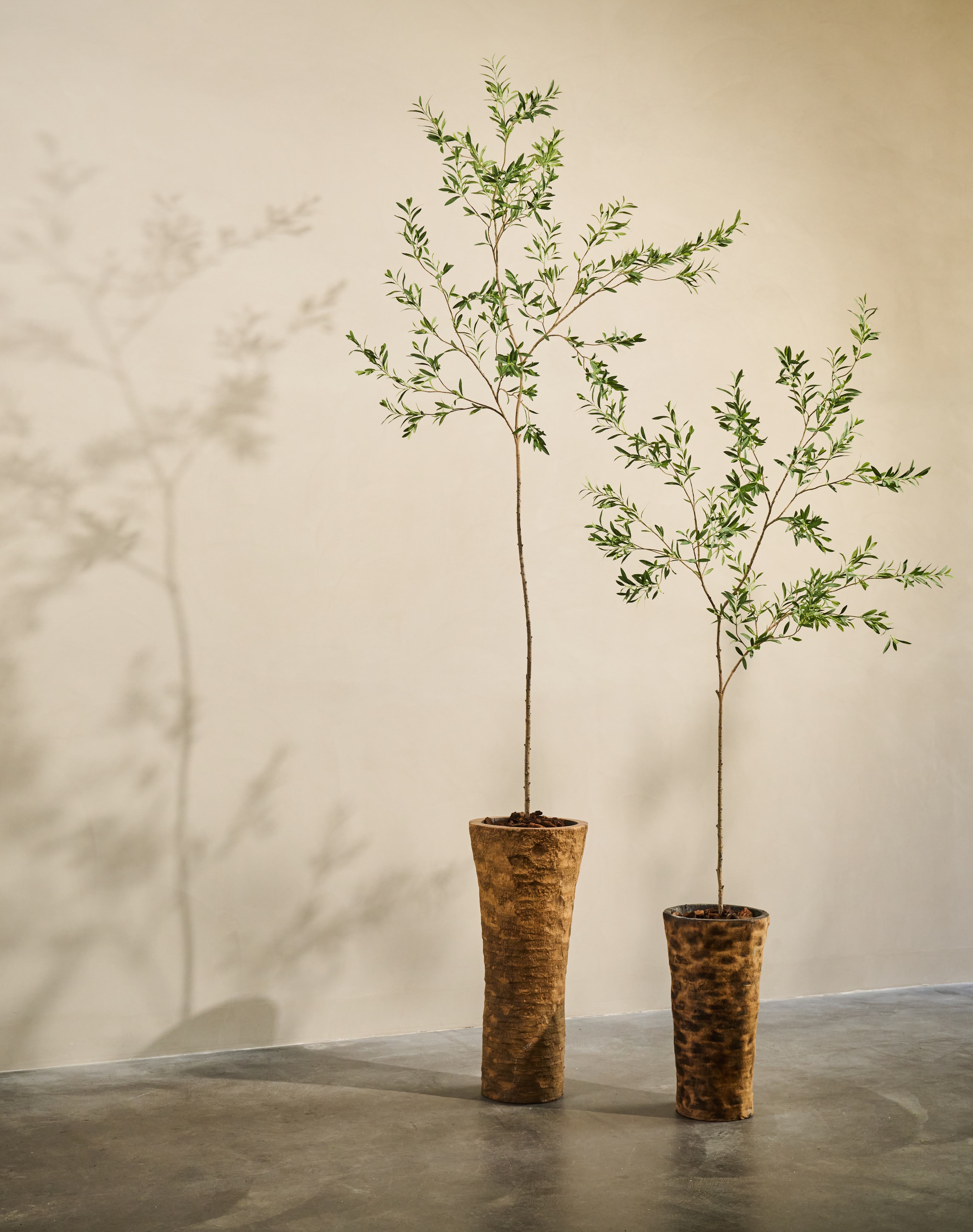 Kunst Olijfboom | 234 cm