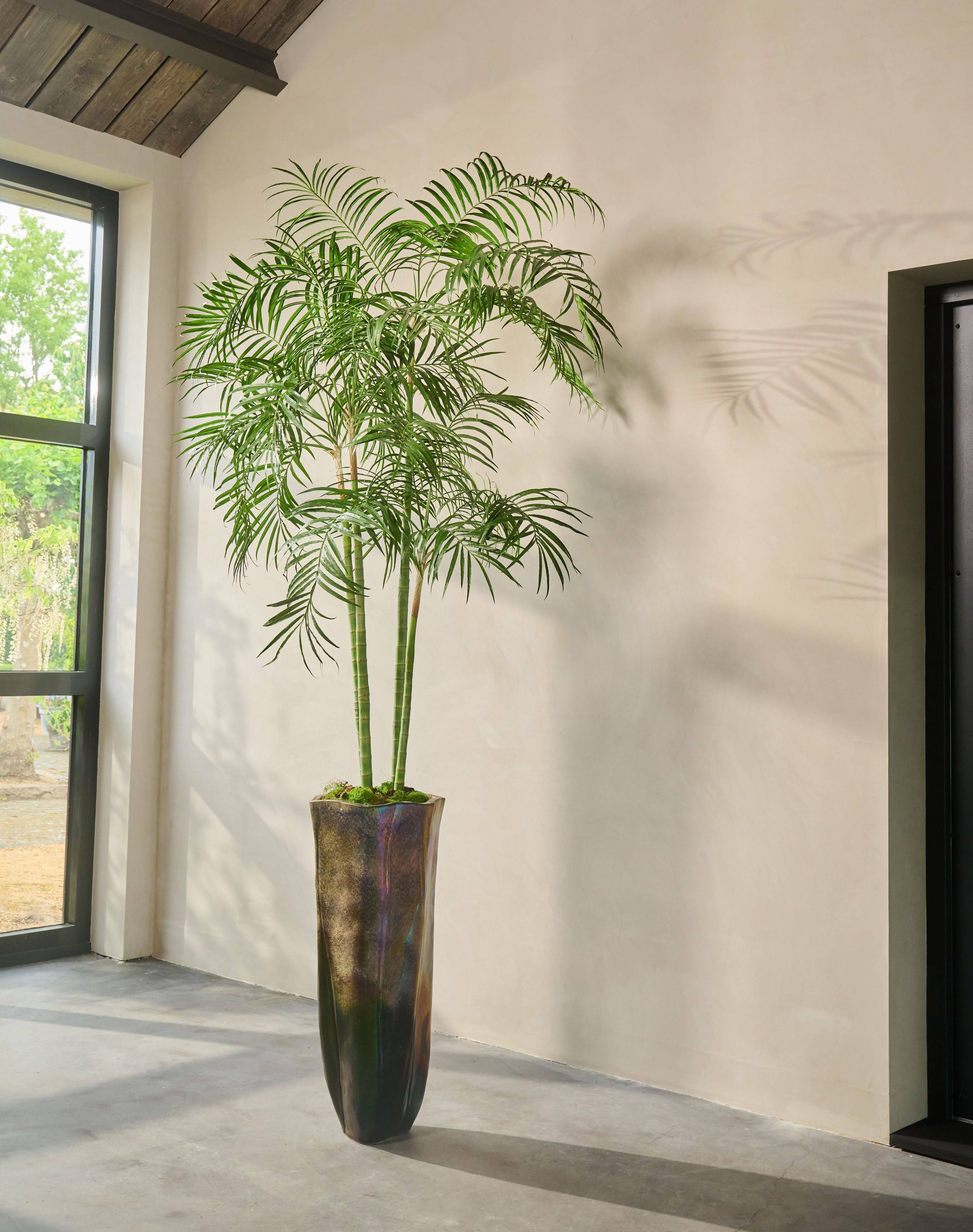 Plant Palm Groen | 274 cm