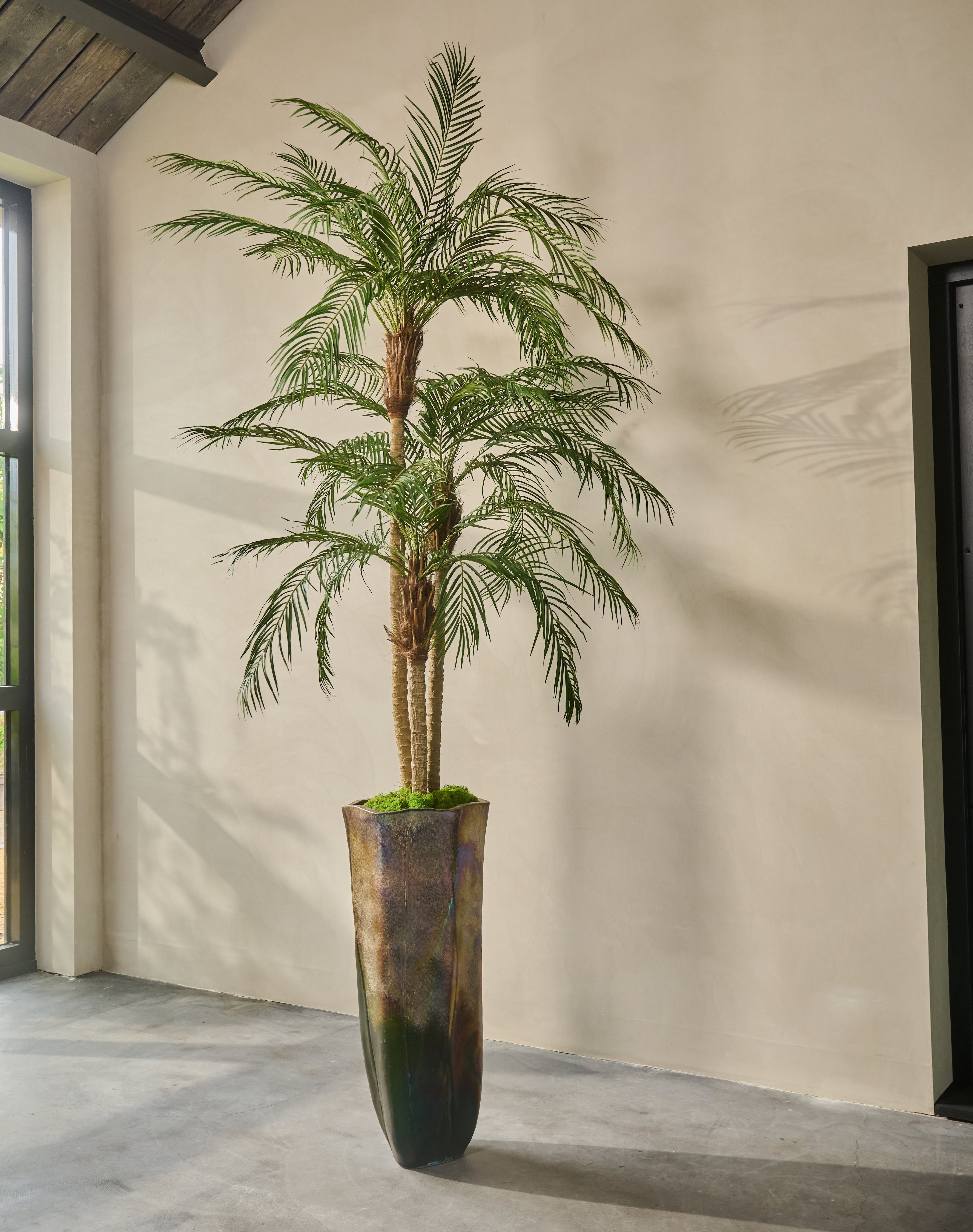 Palm Phoenix Groen | 183 cm