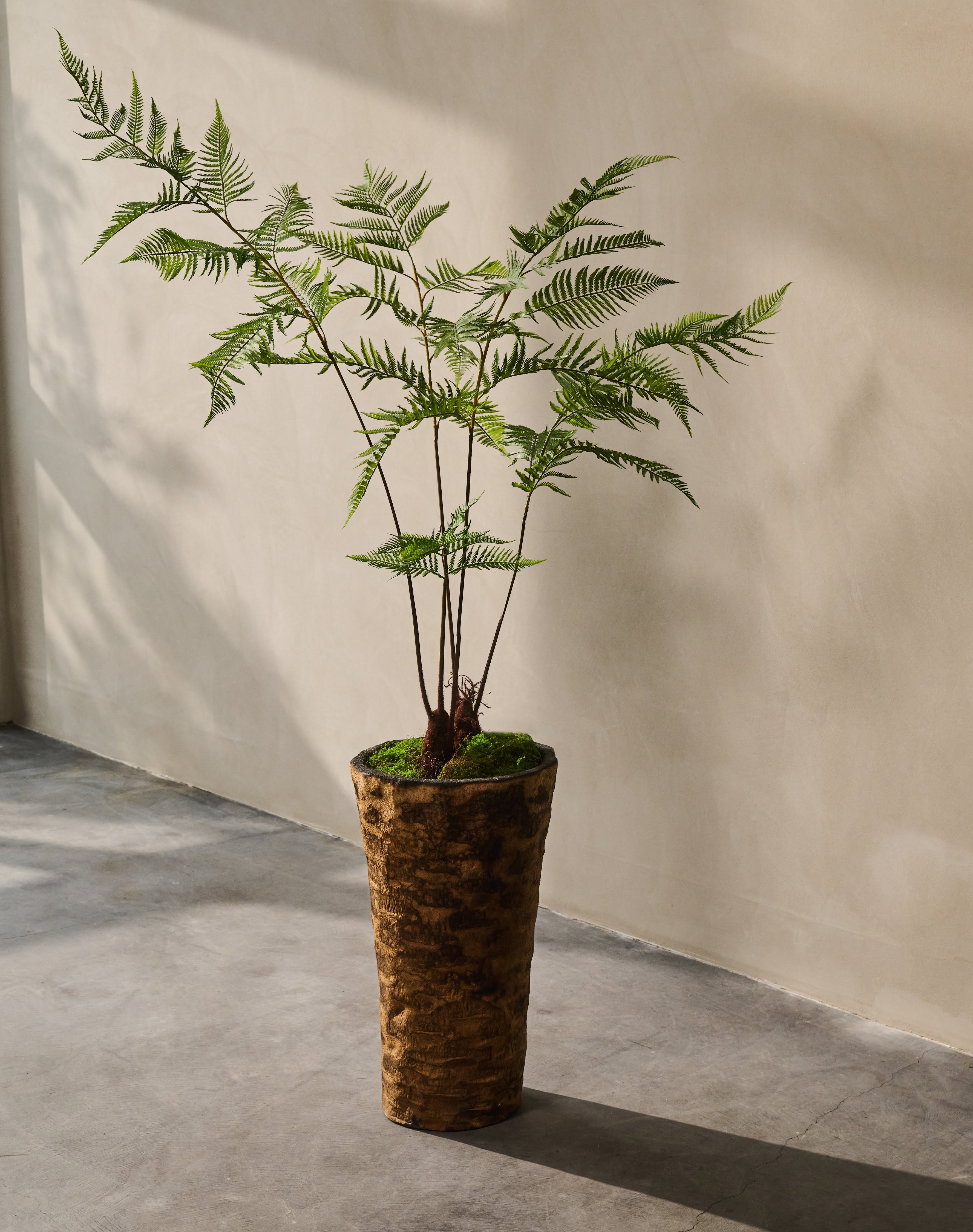 Plant Varen Groen | 157 cm