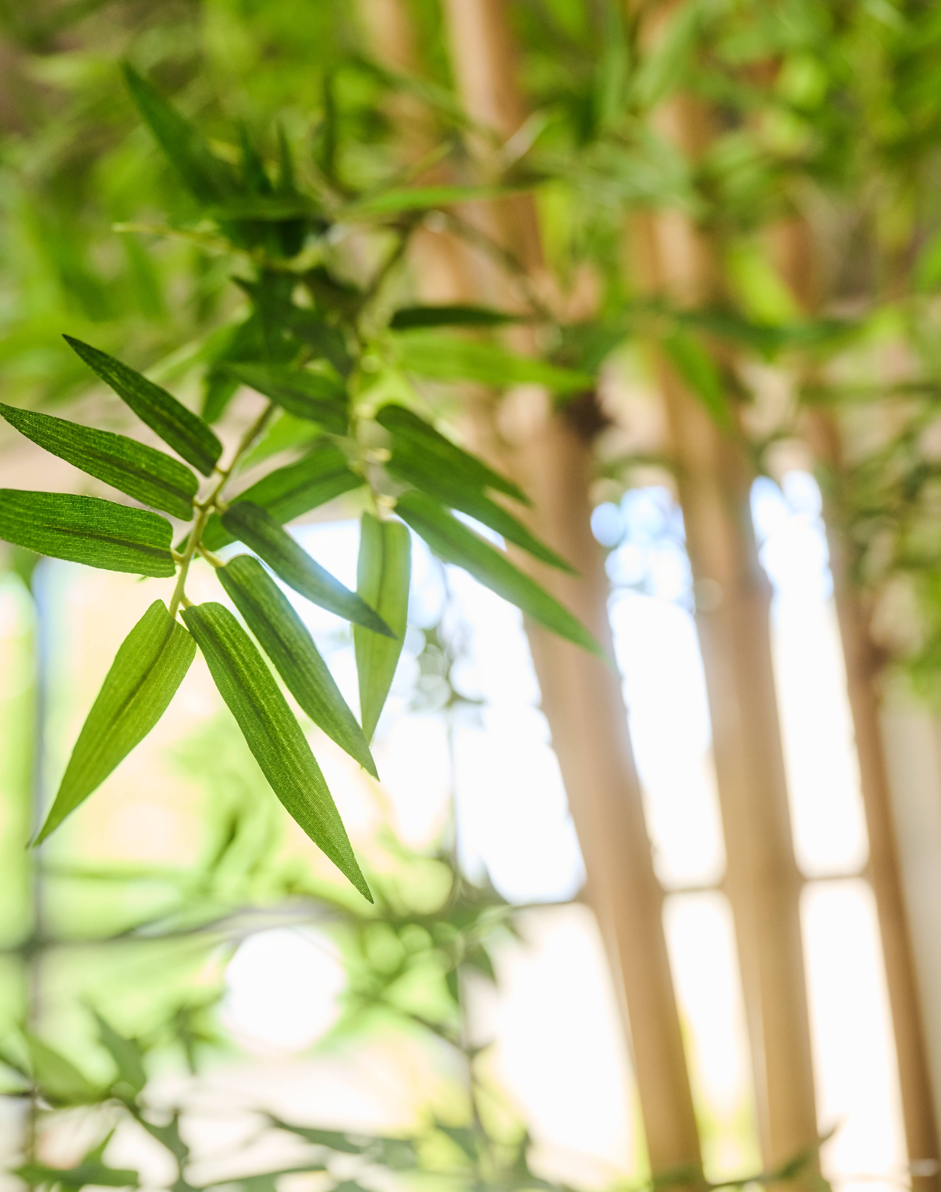 Bamboe Groen | 335 cm