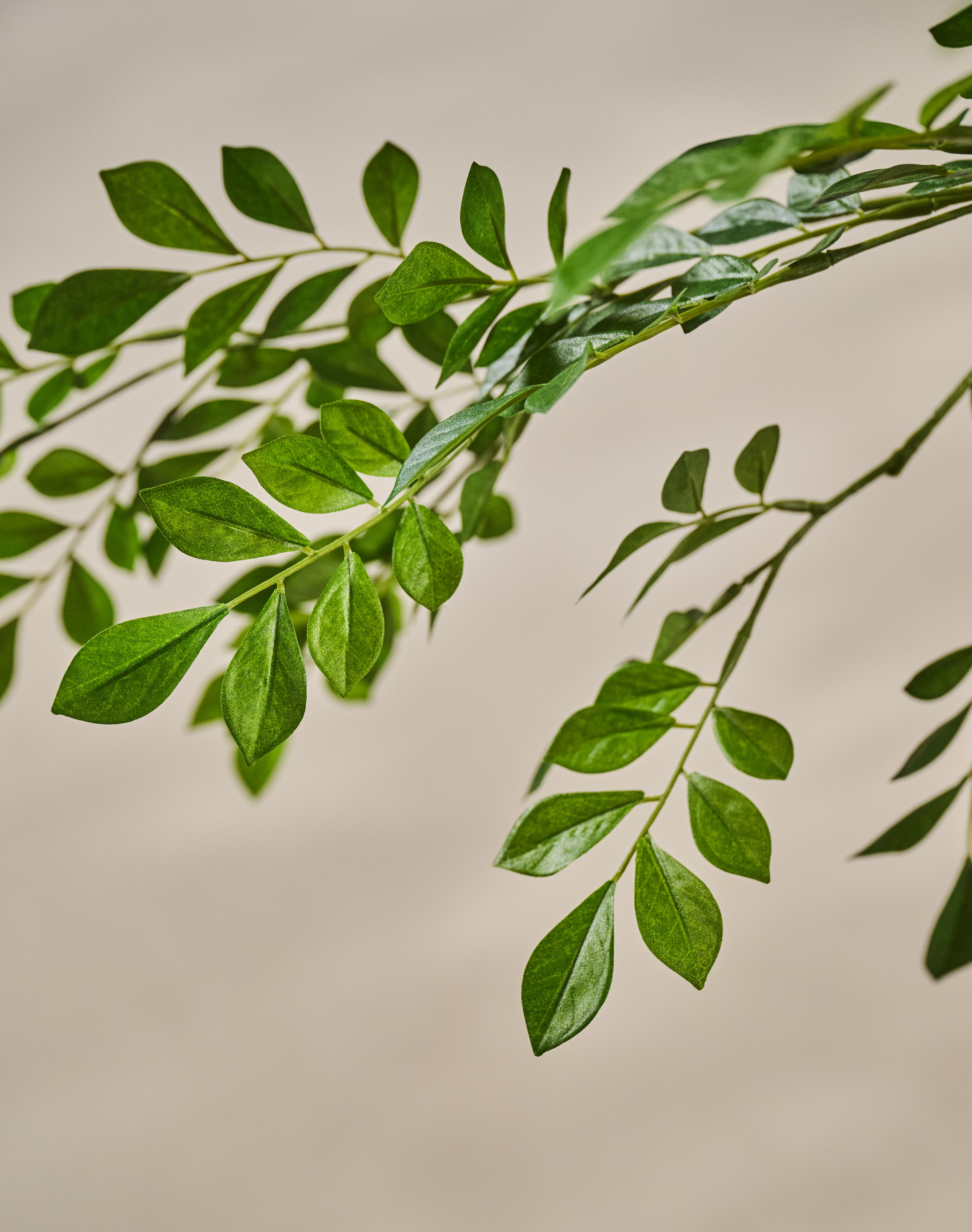 Boom Groen | 330 cm