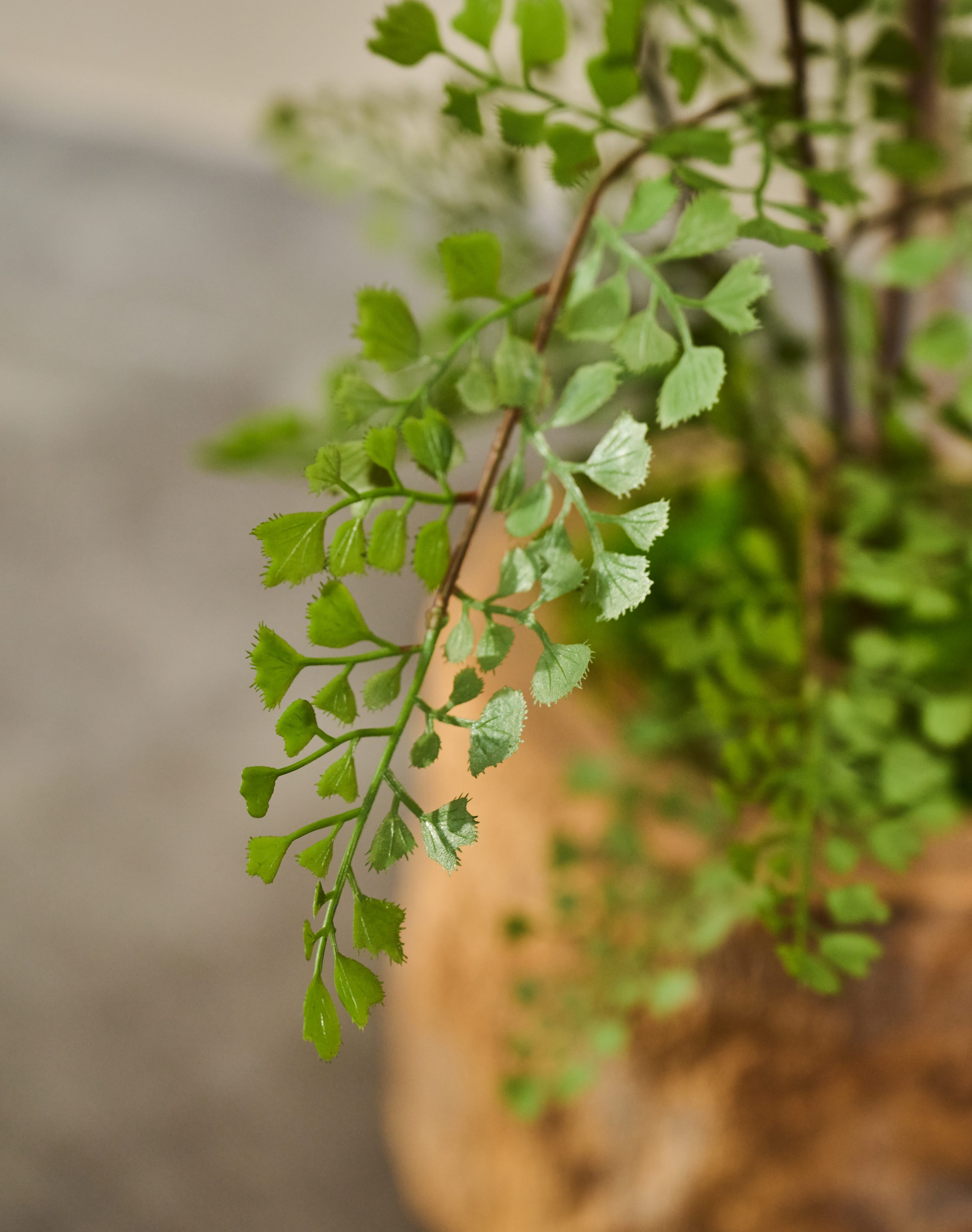 Plant Varen Groen | 94 cm (set van 2)