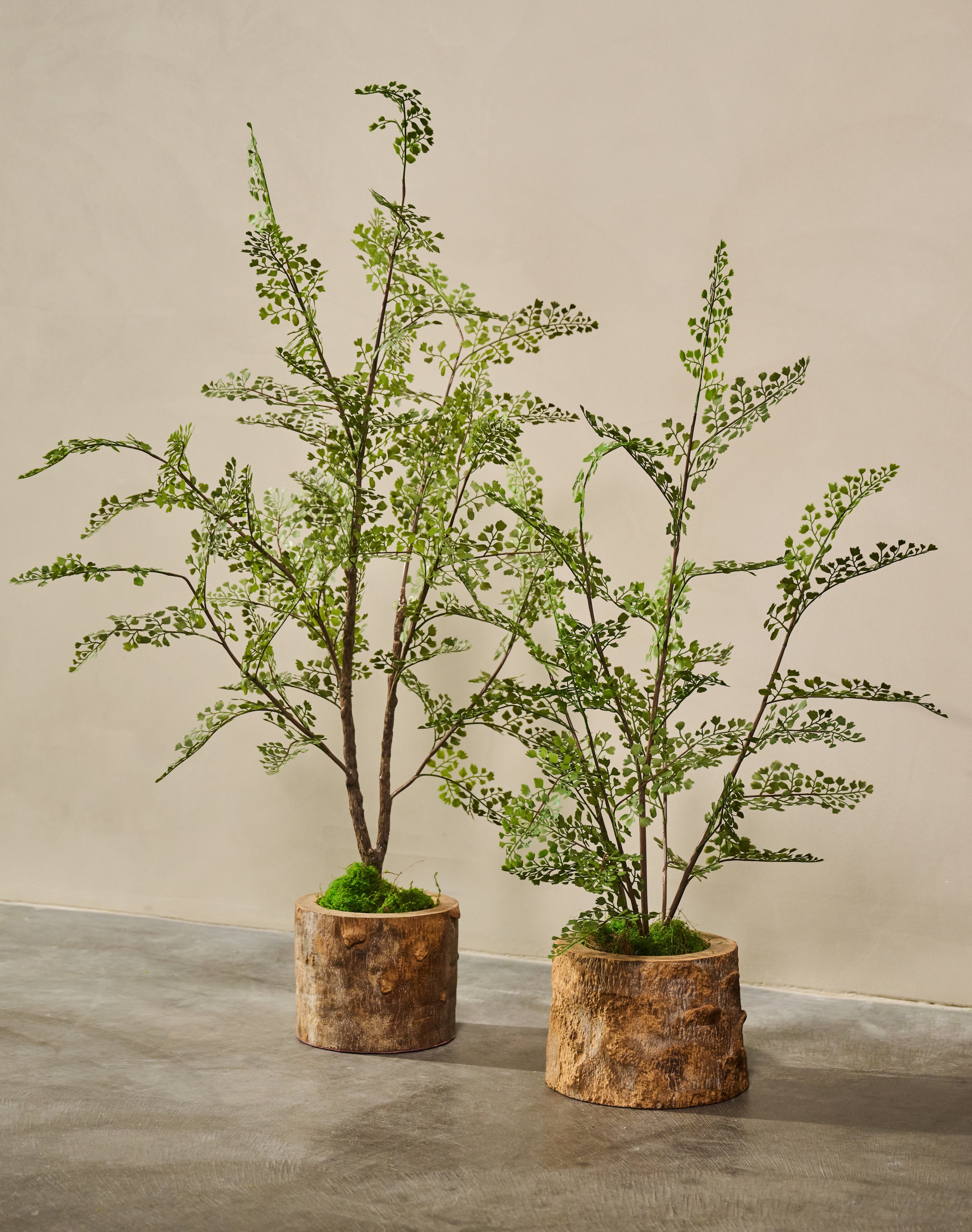 Plant Varen Groen | 94 cm (set van 2)