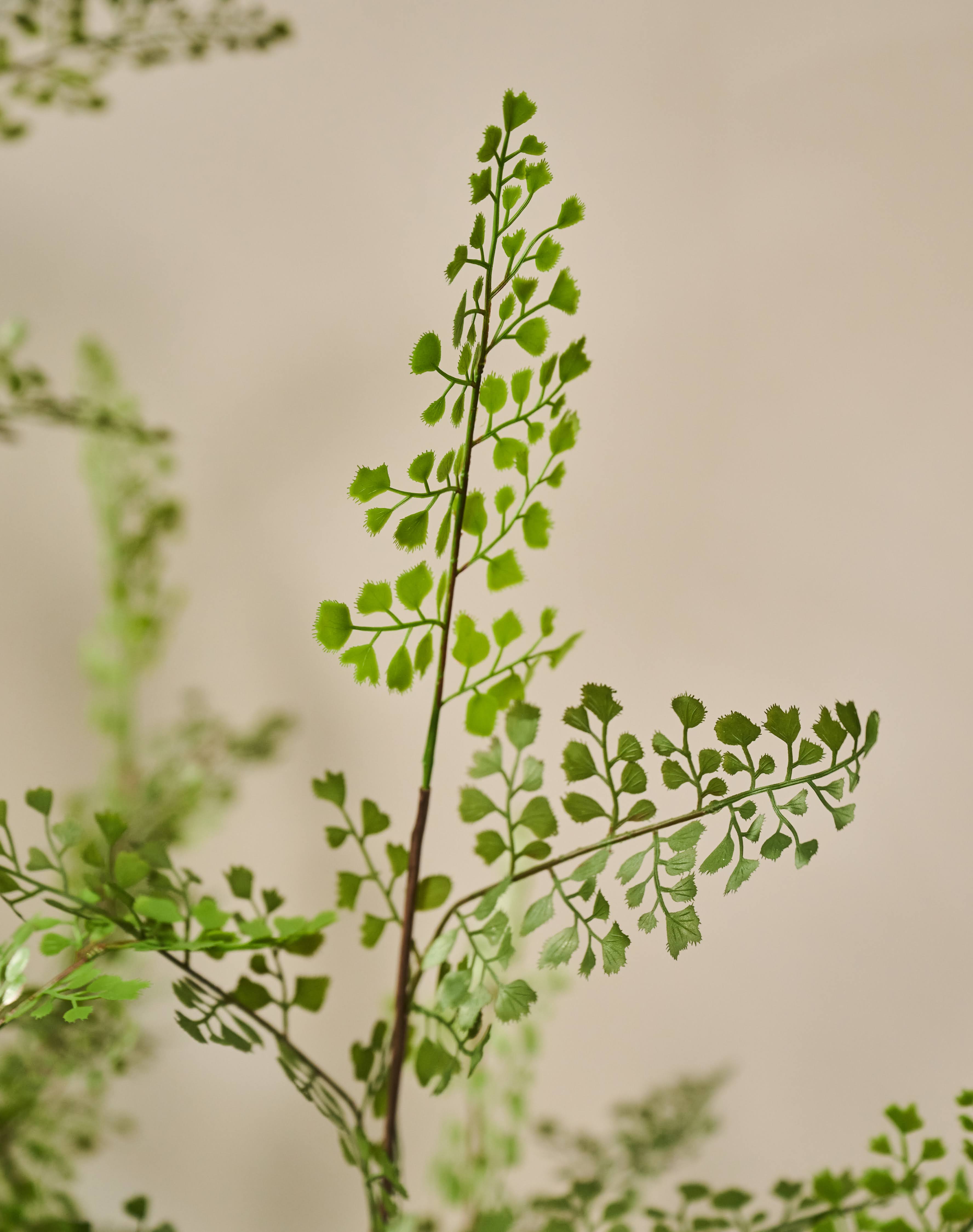 Plant Varen Groen | 94 cm (set van 2)