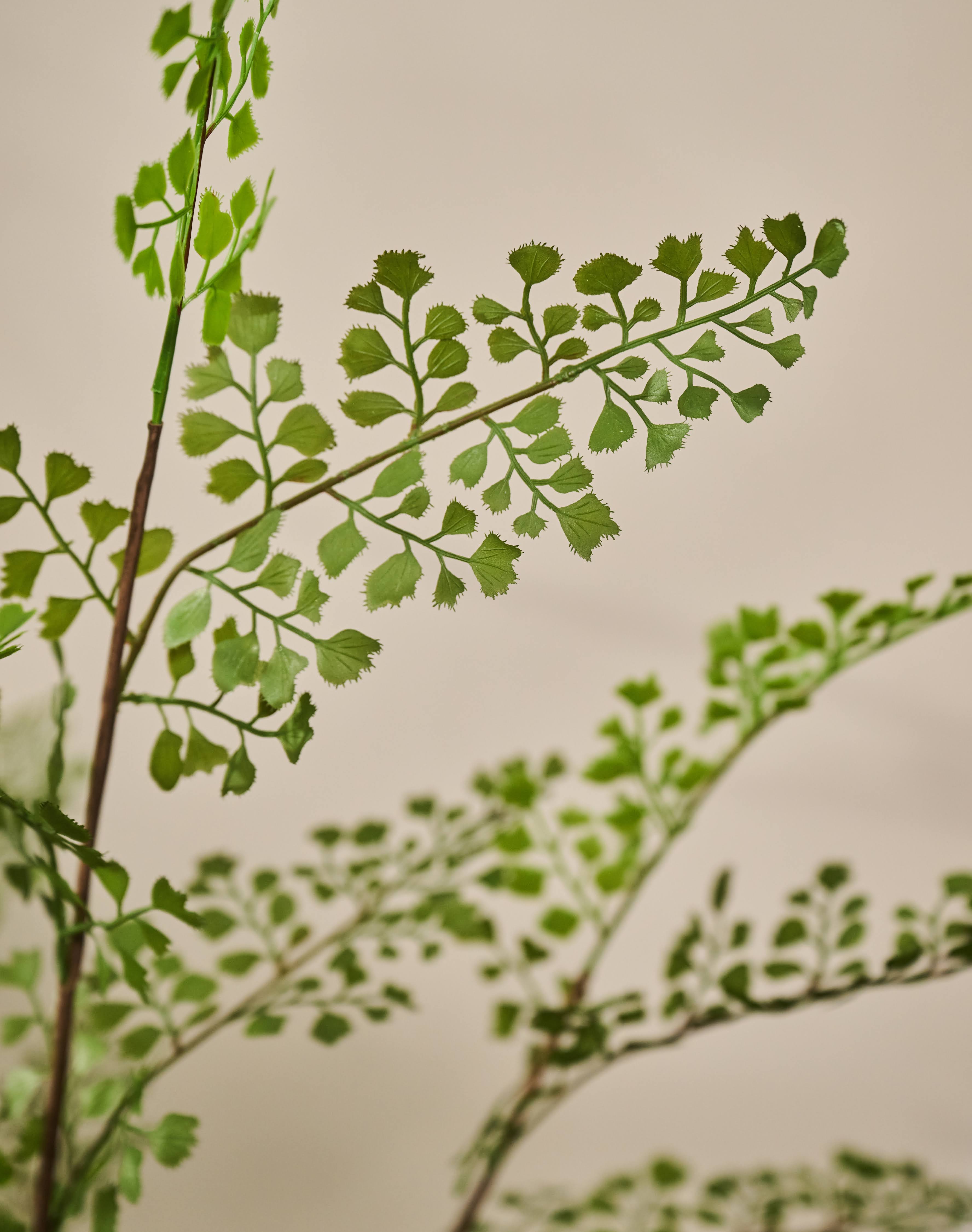 Plant Varen Groen | 94 cm (set van 2)