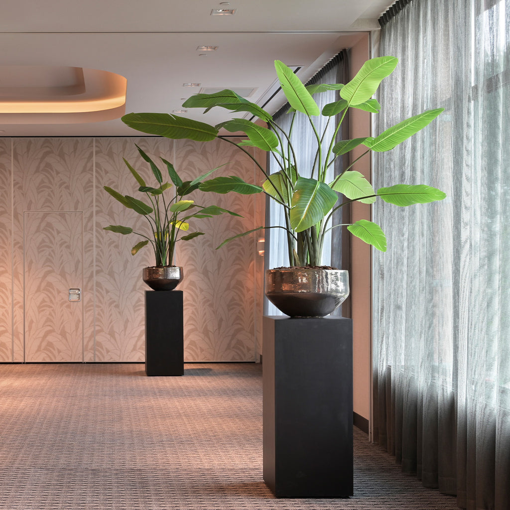 Schaal Sjaan - Metaalglans - D58 H33