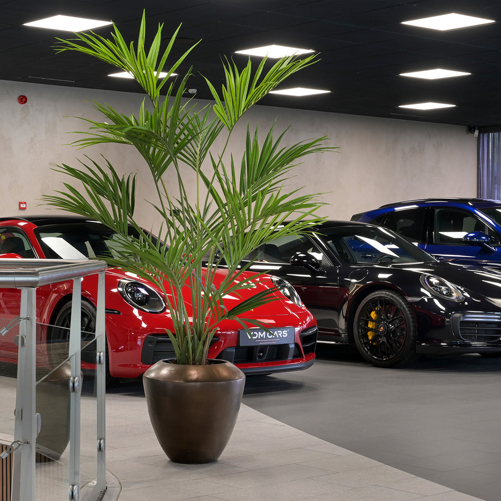 Kunstplant Plant Kentia Palm - H190