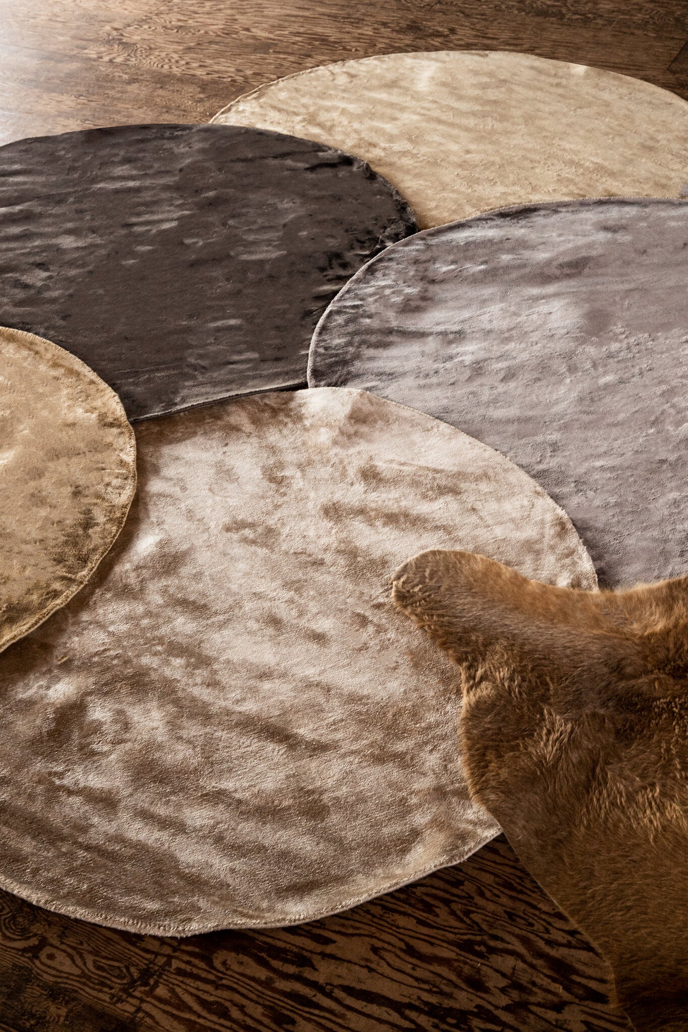 Vloerkleed Flavia - Zwart - Rond - S