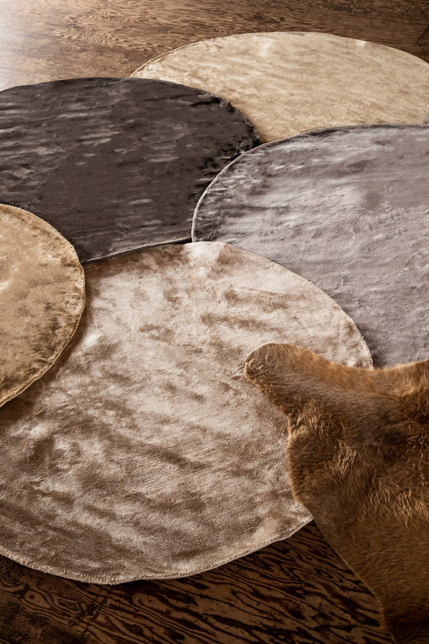 Vloerkleed Flavia - Bruin - Rond