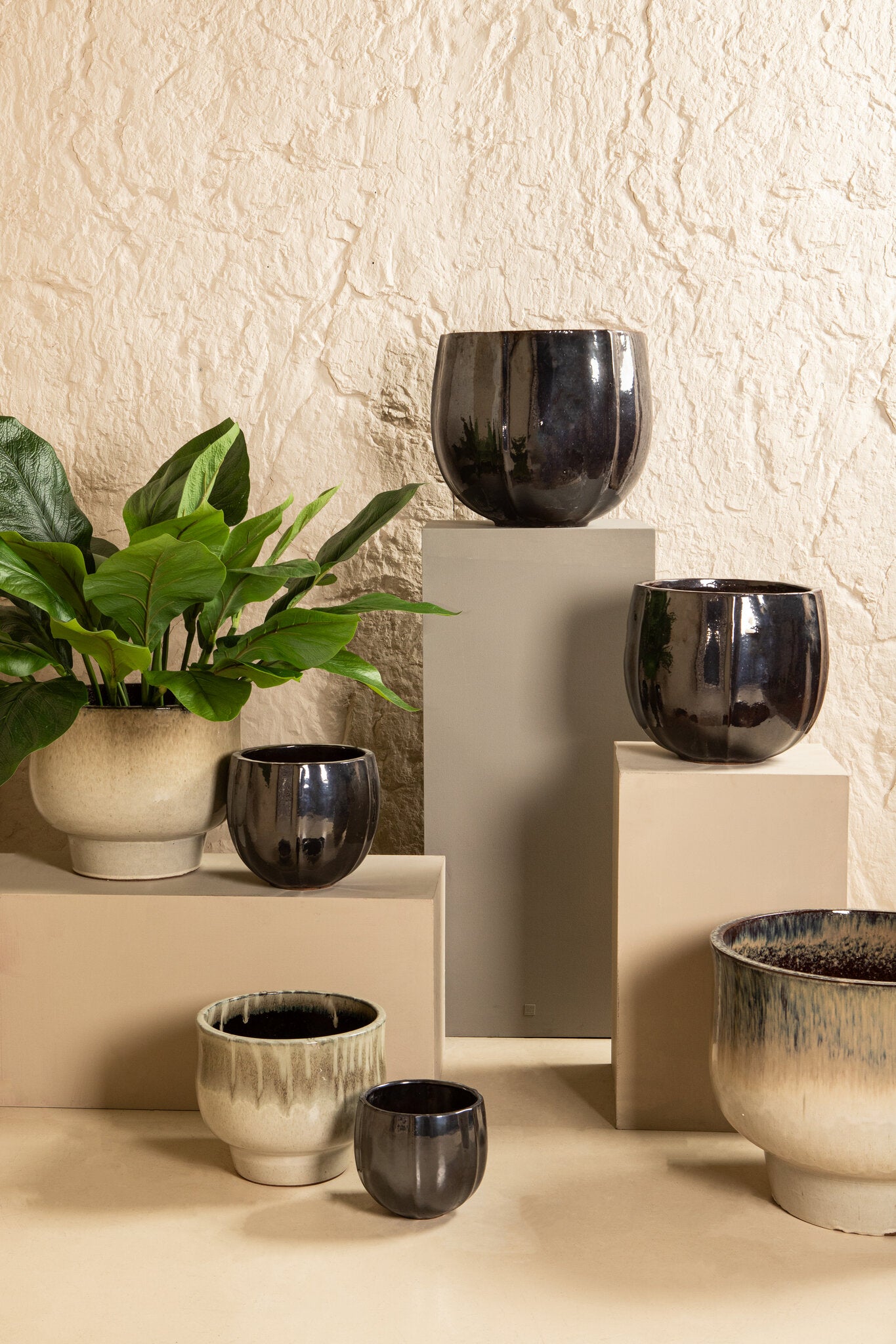 Pot Ayasha (set van 4)