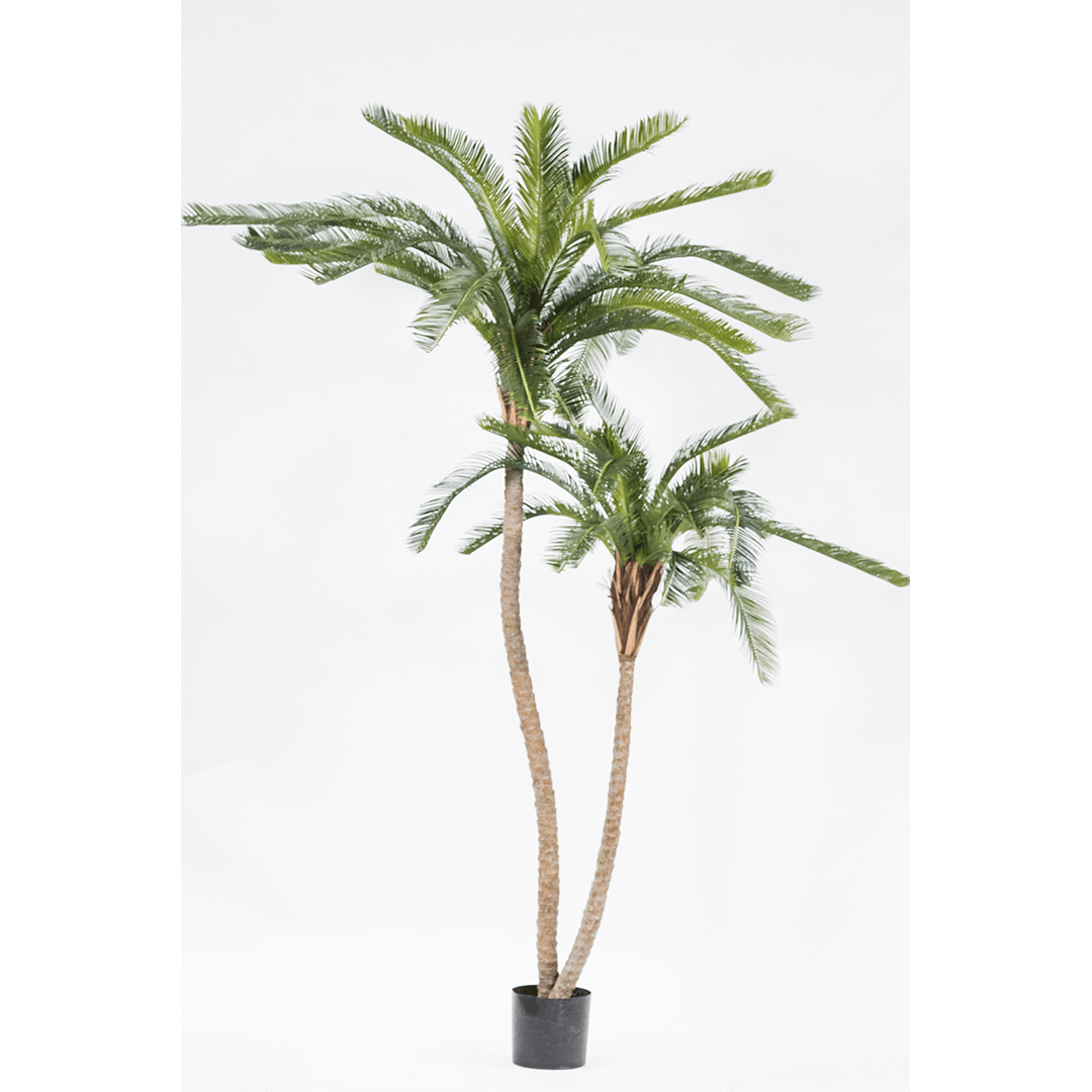 Plant Palm Groen | 180 cm