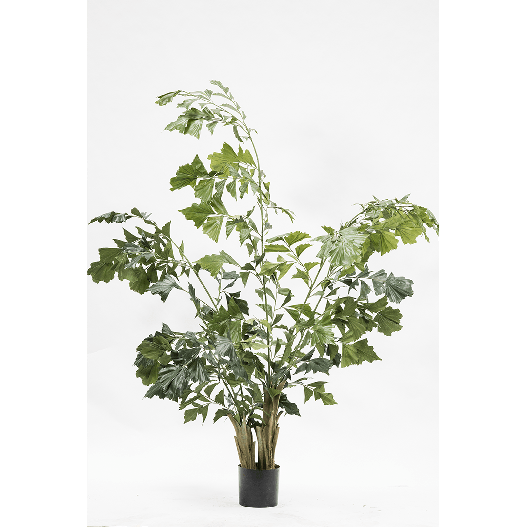 Plant palm Groen | 190 cm