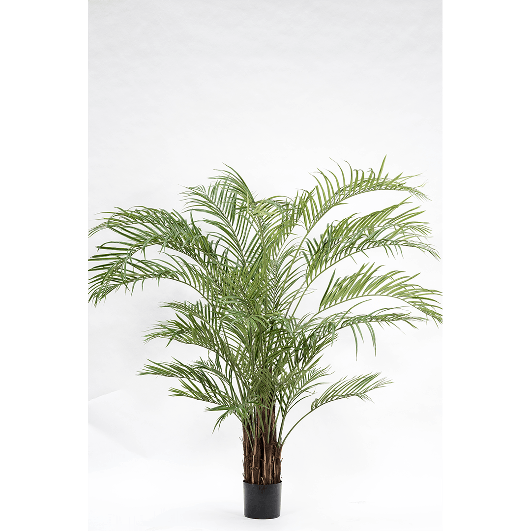 Plant Palm Groen | 230 cm