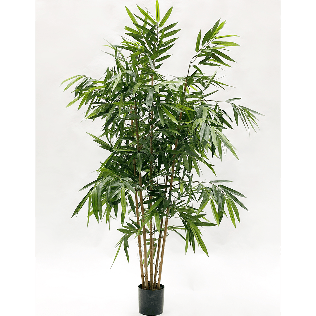 Plant Bamboe Groen | 183 cm