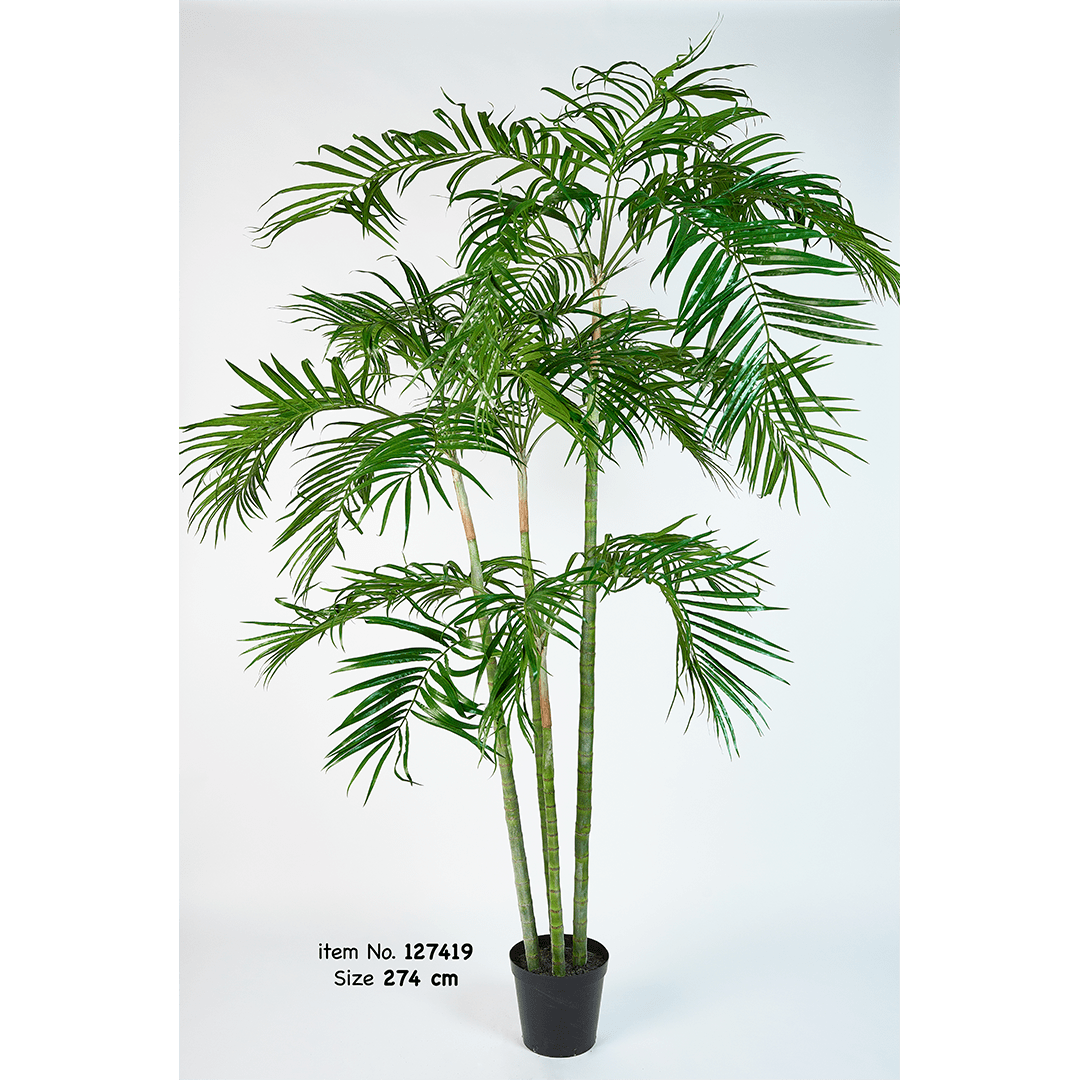 Plant Palm Groen | 274 cm