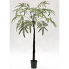 Plant Varen | 183 cm
