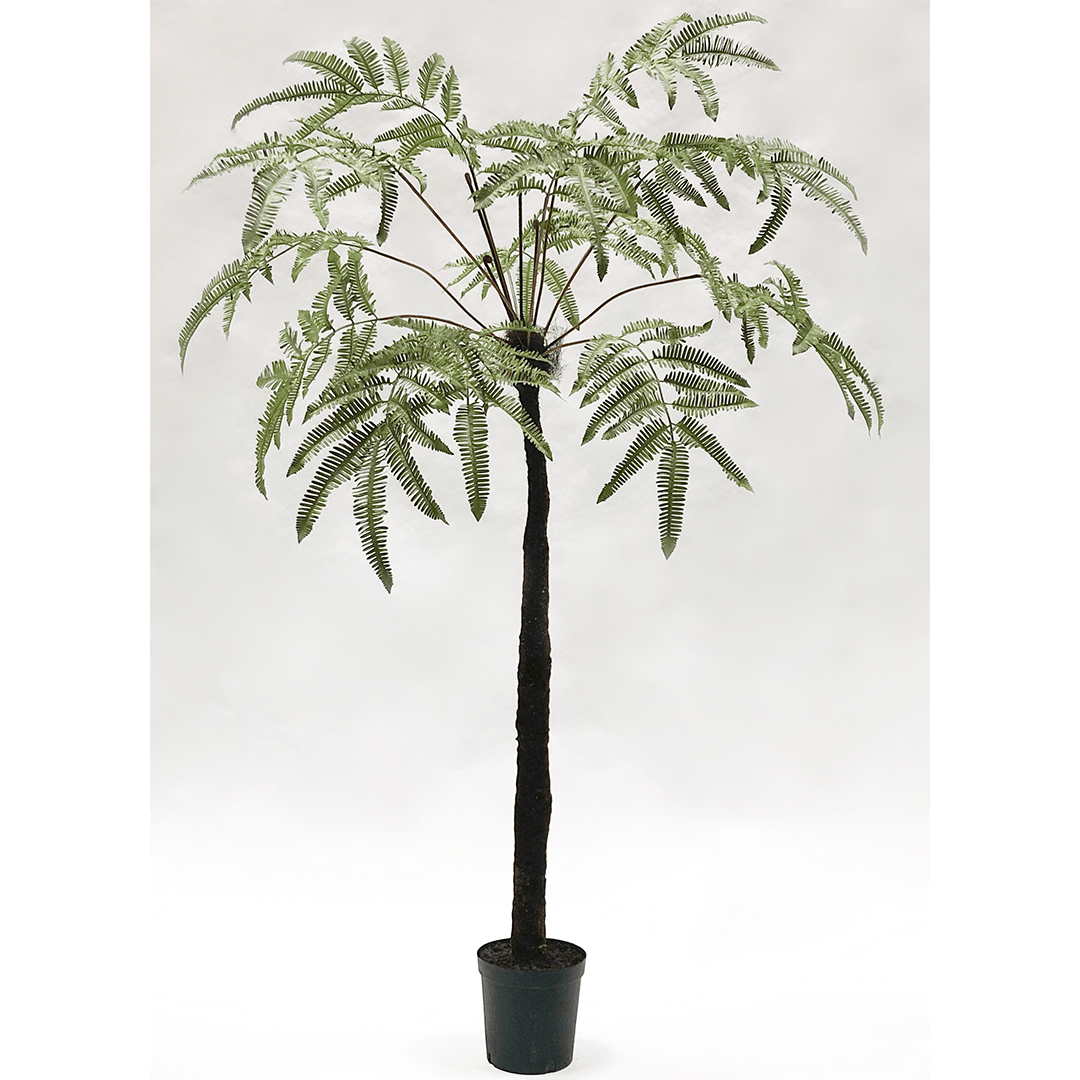 Plant Varen | 183 cm