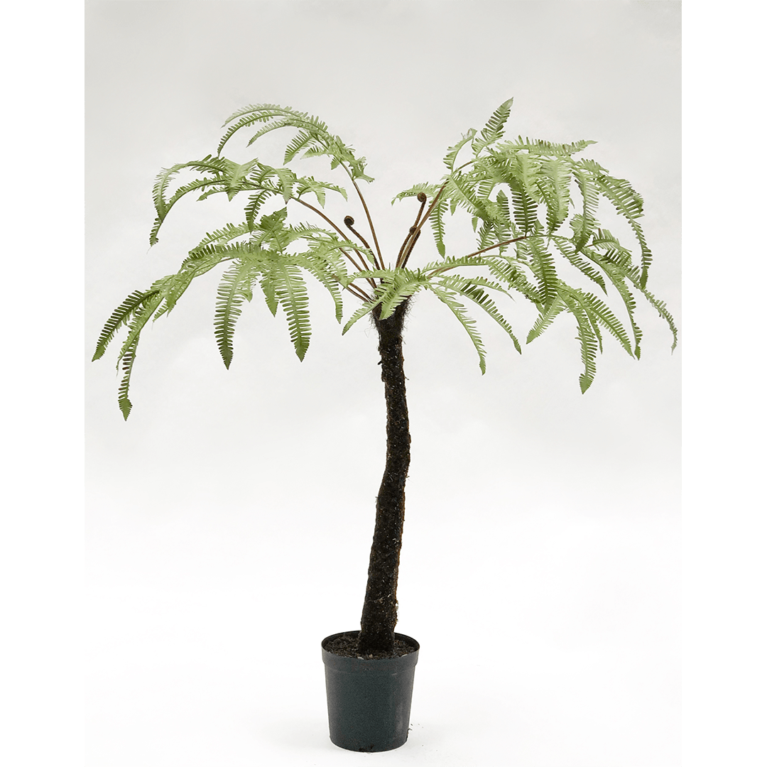 Plant Varen Groen | 105 cm