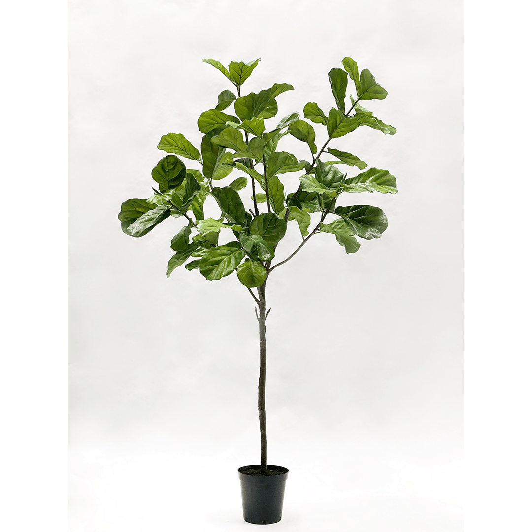 Plant Groen | 254 cm