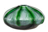 Vaas Glass - Medium