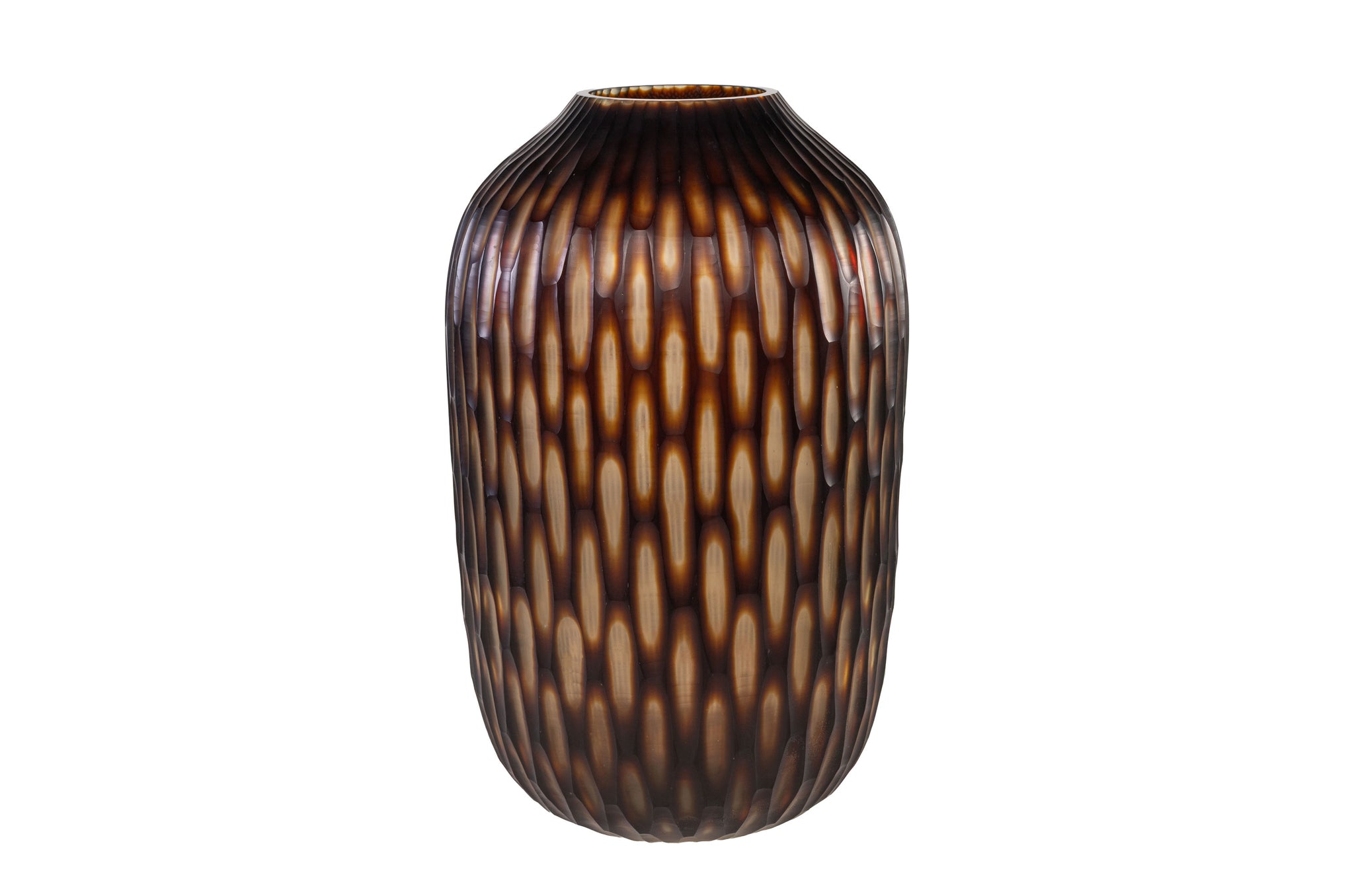 Vaas Hurricane Large - Bruin