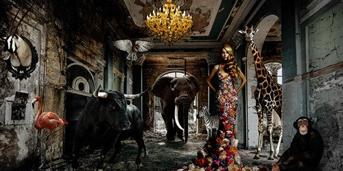 Foto Art - 'Animal afternoon'