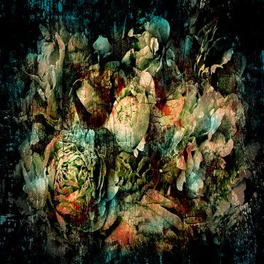 Foto Art - 'Botanical abstract'