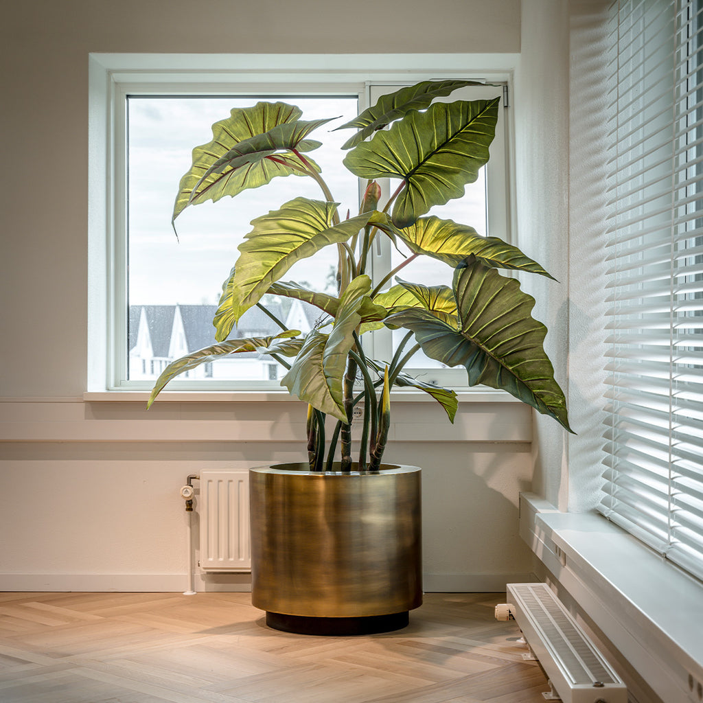 Kunstplant Colocasia - H175