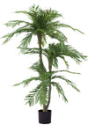 Palm Cycas Classic | 165 cm