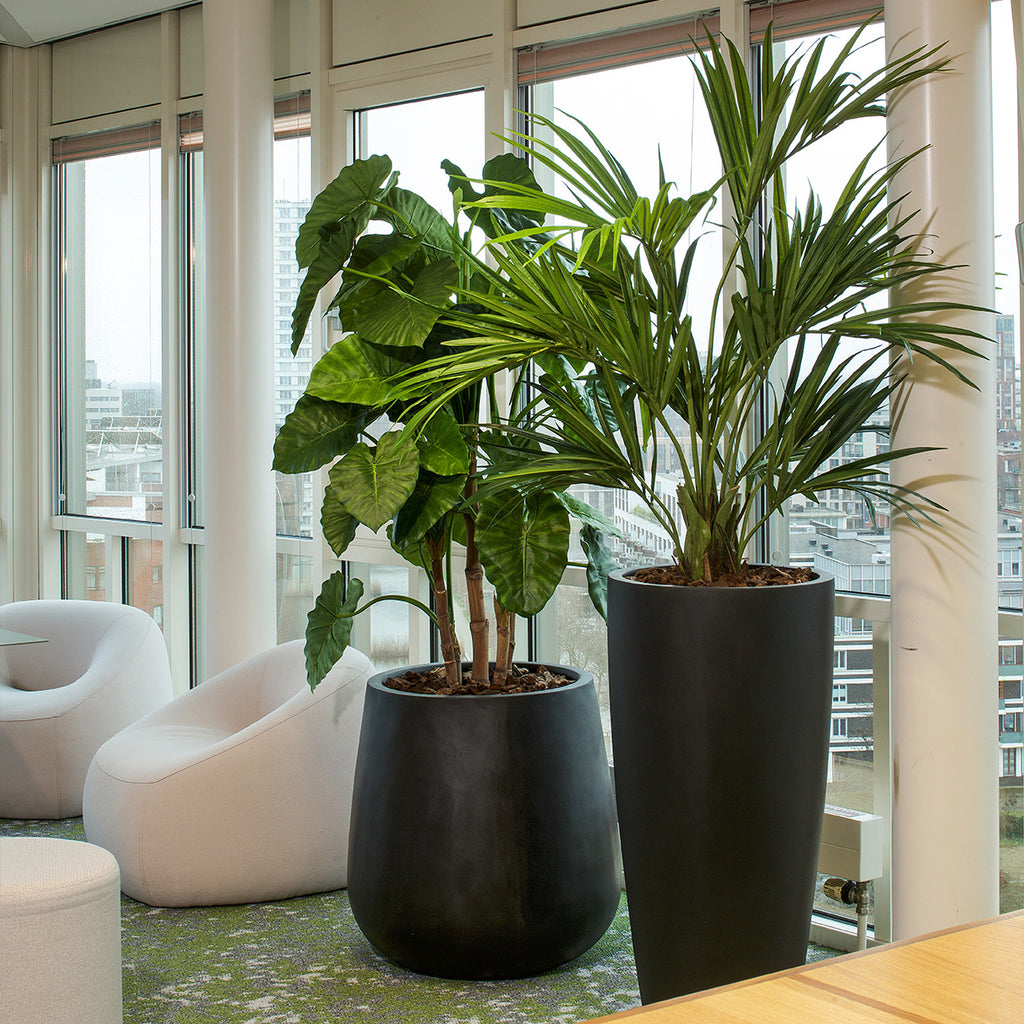 Plantenbak Dax - Zwart - D47 H100